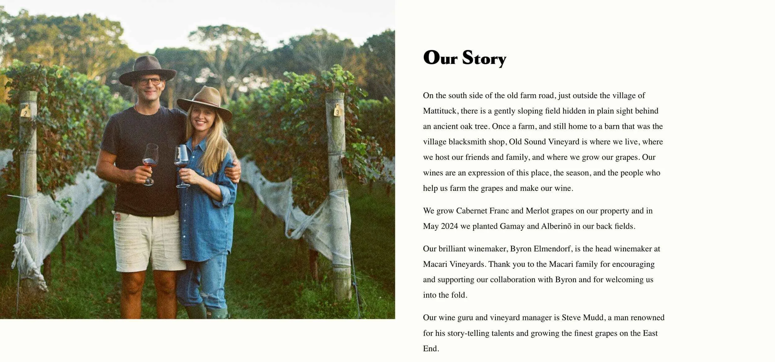 Couple standing in a vineyard holding wine glasses