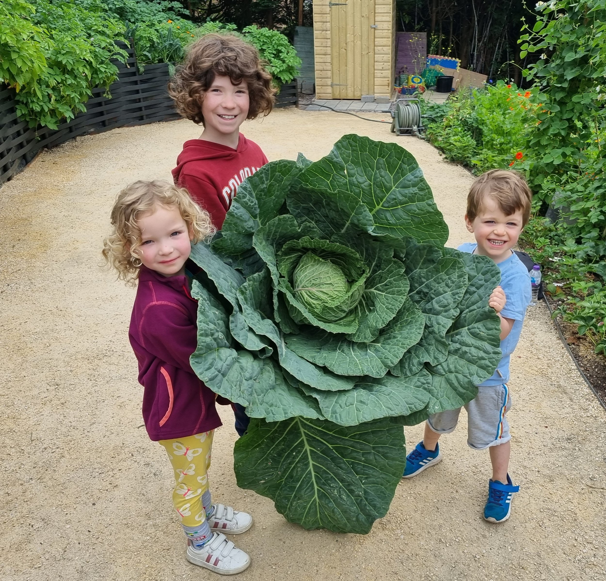 Beth Niall and Ciain with giant Cabbage Aug 22.jpg