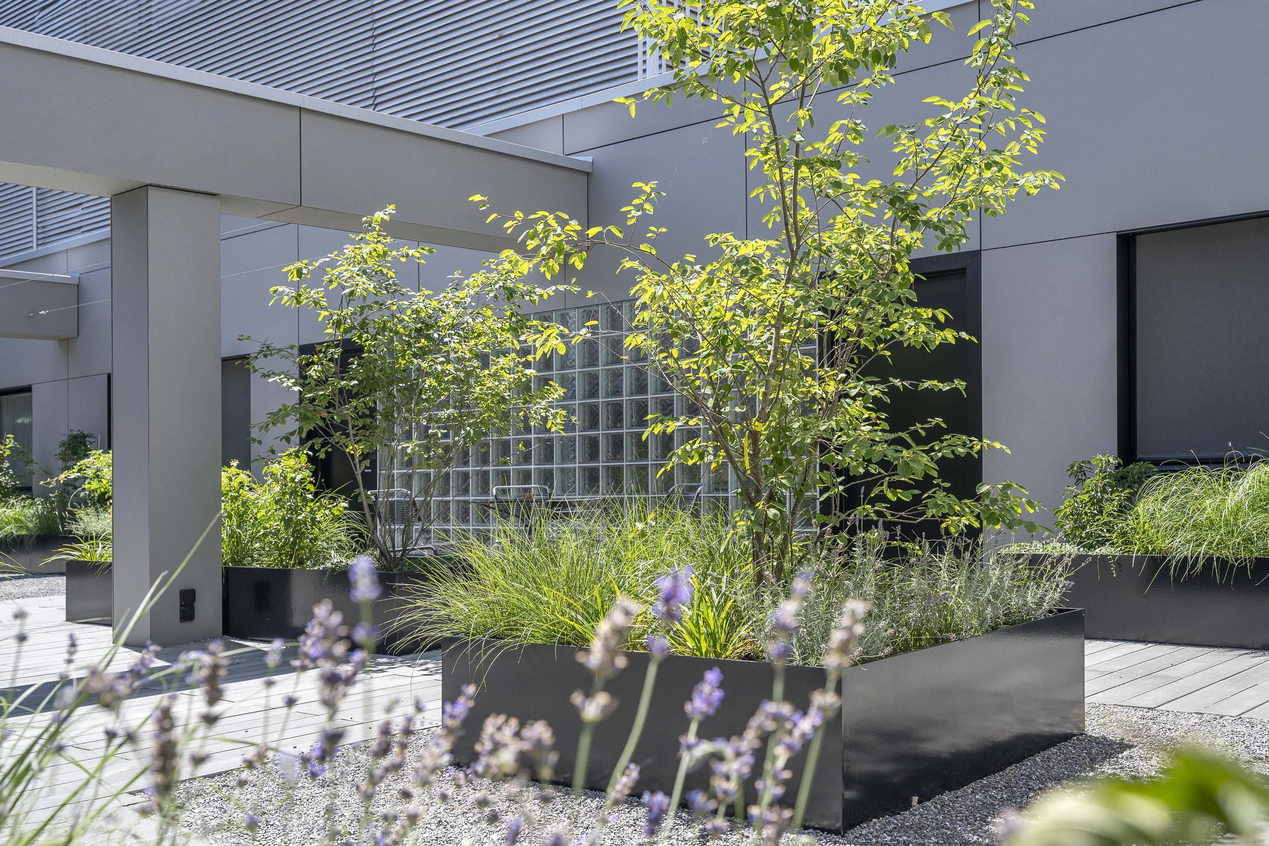 Liliencenter Schlieren-7452-c-RegineGiesecke.jpg