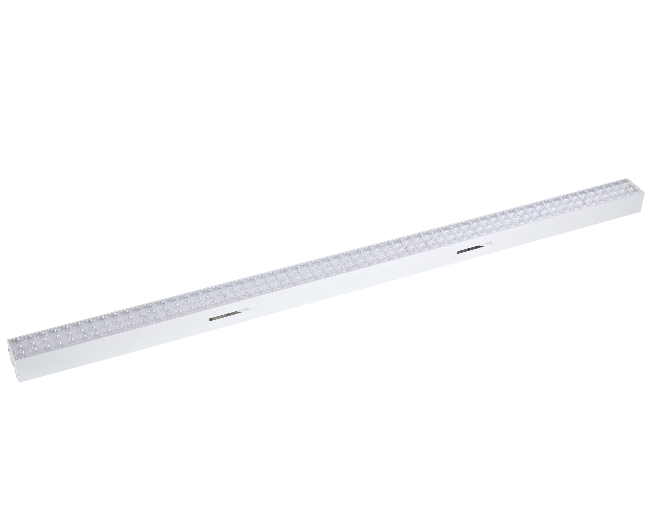 IMG_4331.png