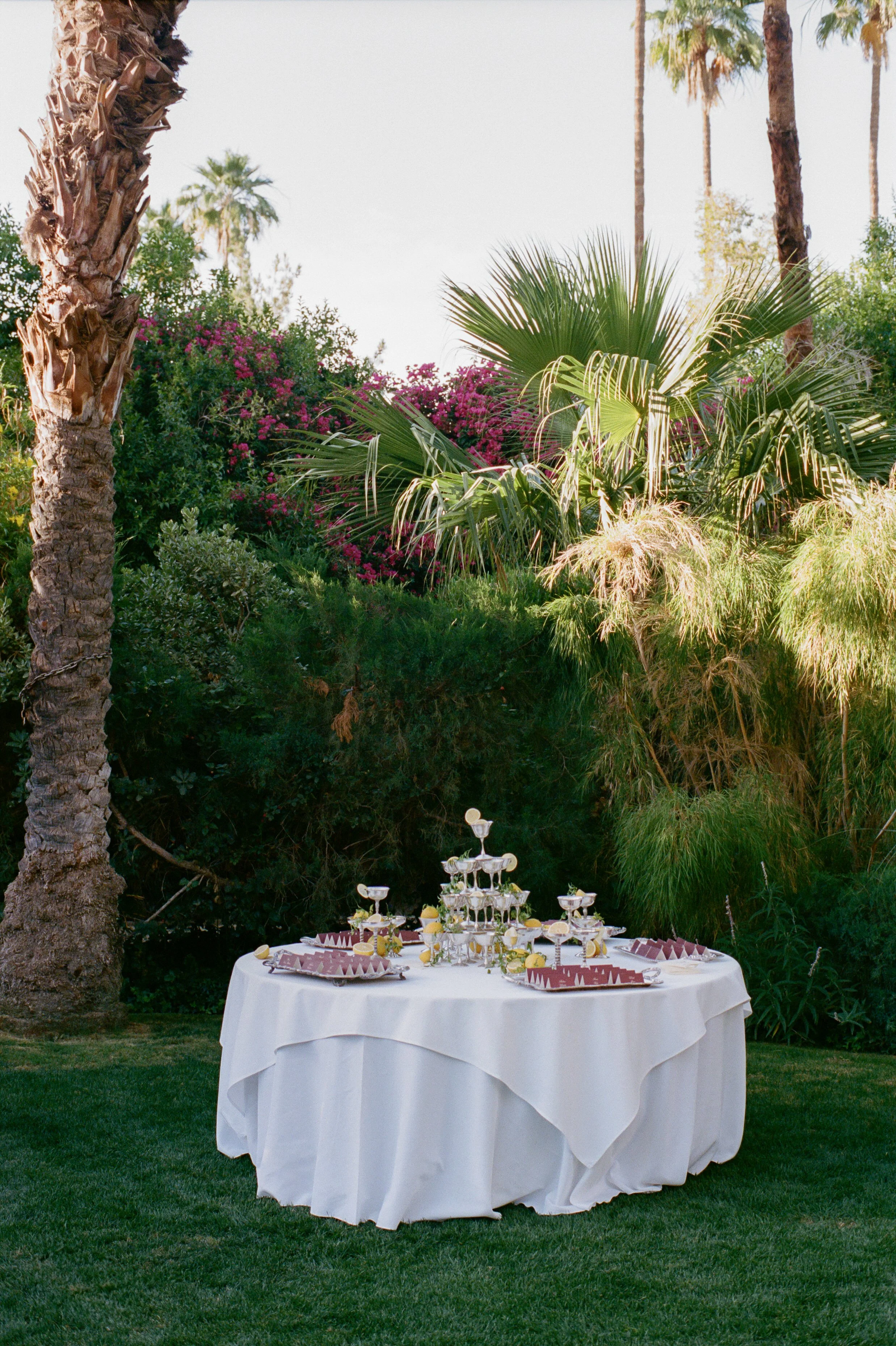 Abby + Paul + Cocktails-105.jpg