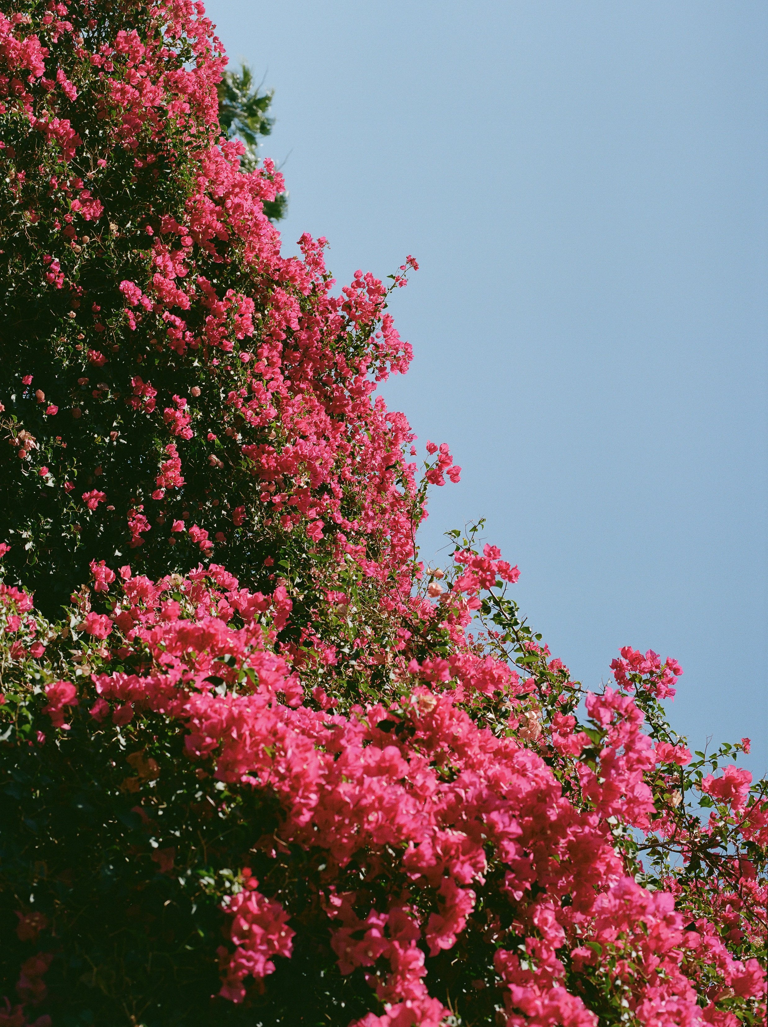 Abby + Paul + Details-129.jpg