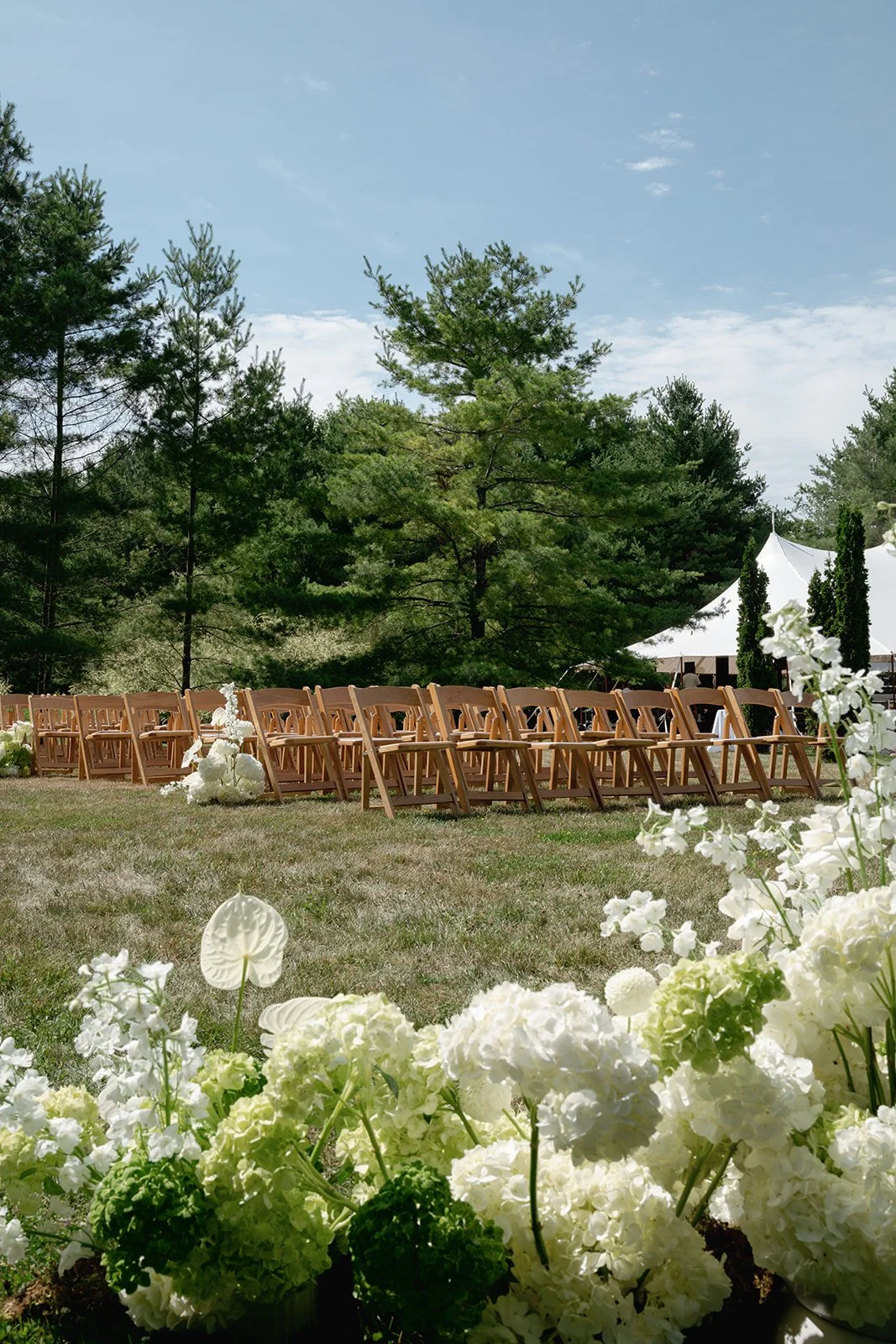 Celia + Henry + Previews-20.jpg