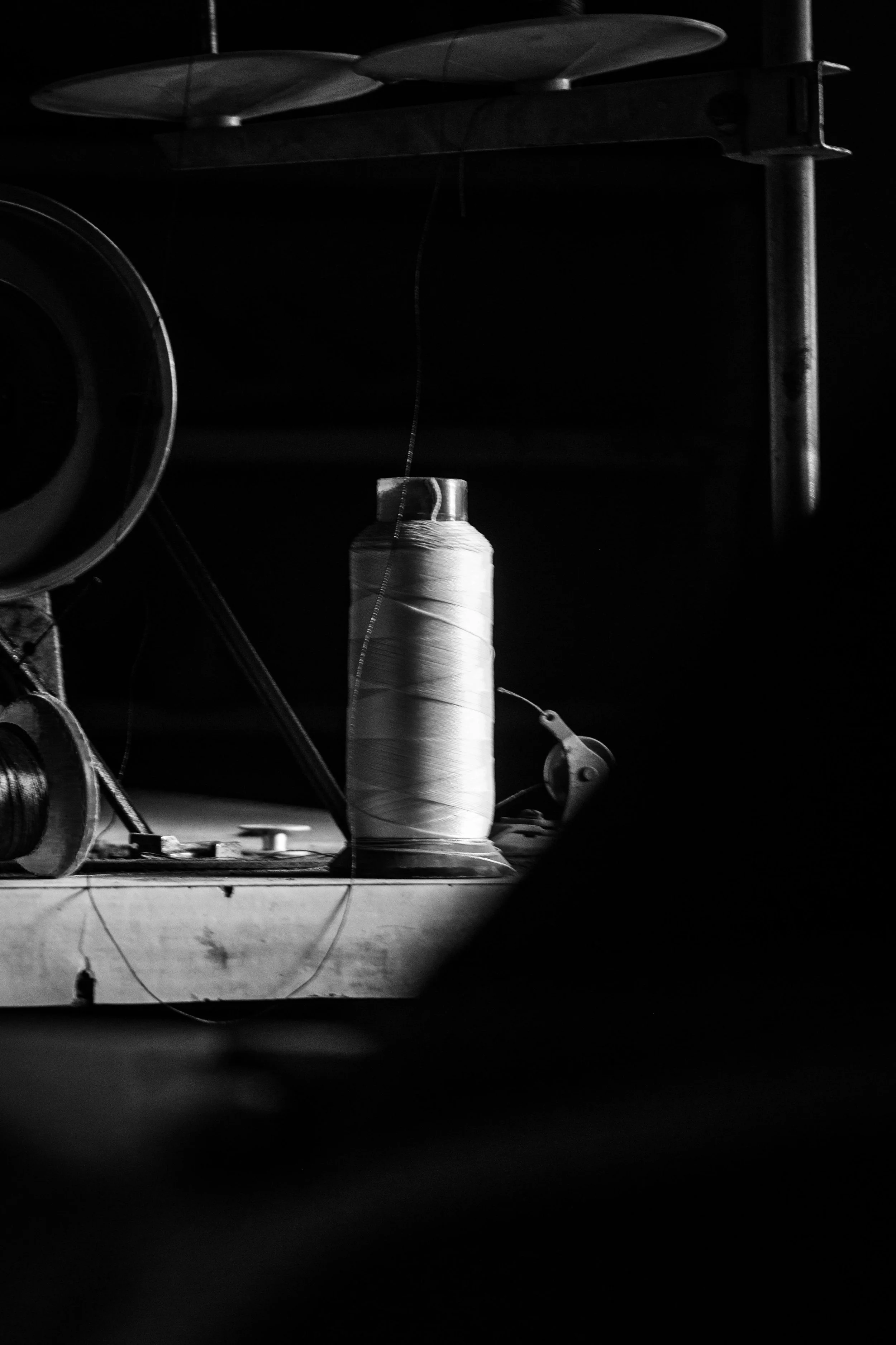 The Founders Who Refused to Choose: How Sustainable Luxury Became a Private Markets Thesis