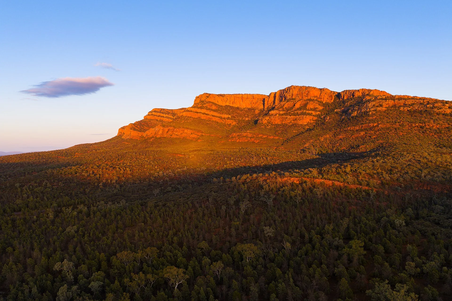 Rawnsley Bluff Sunrise.jpg
