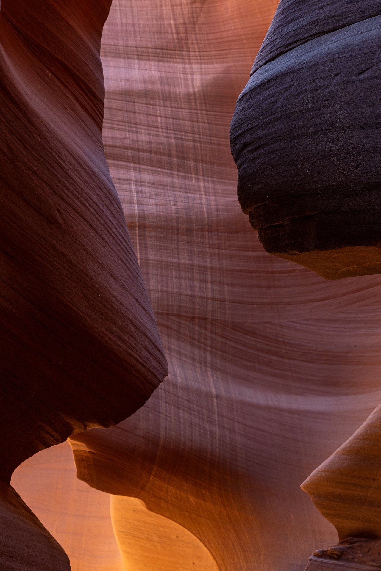 USA_03047.jpg