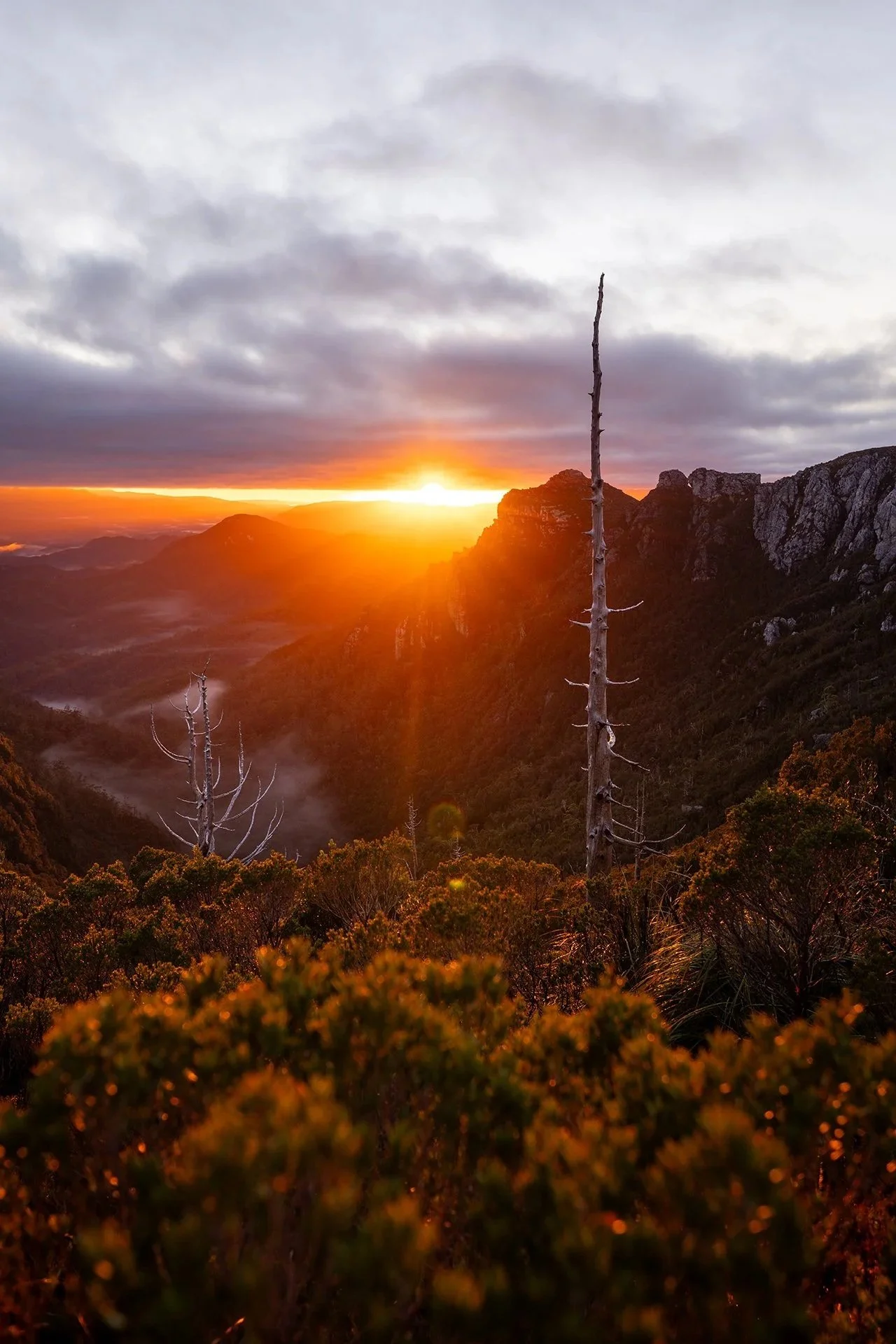 Frenchmans Cap Trail
