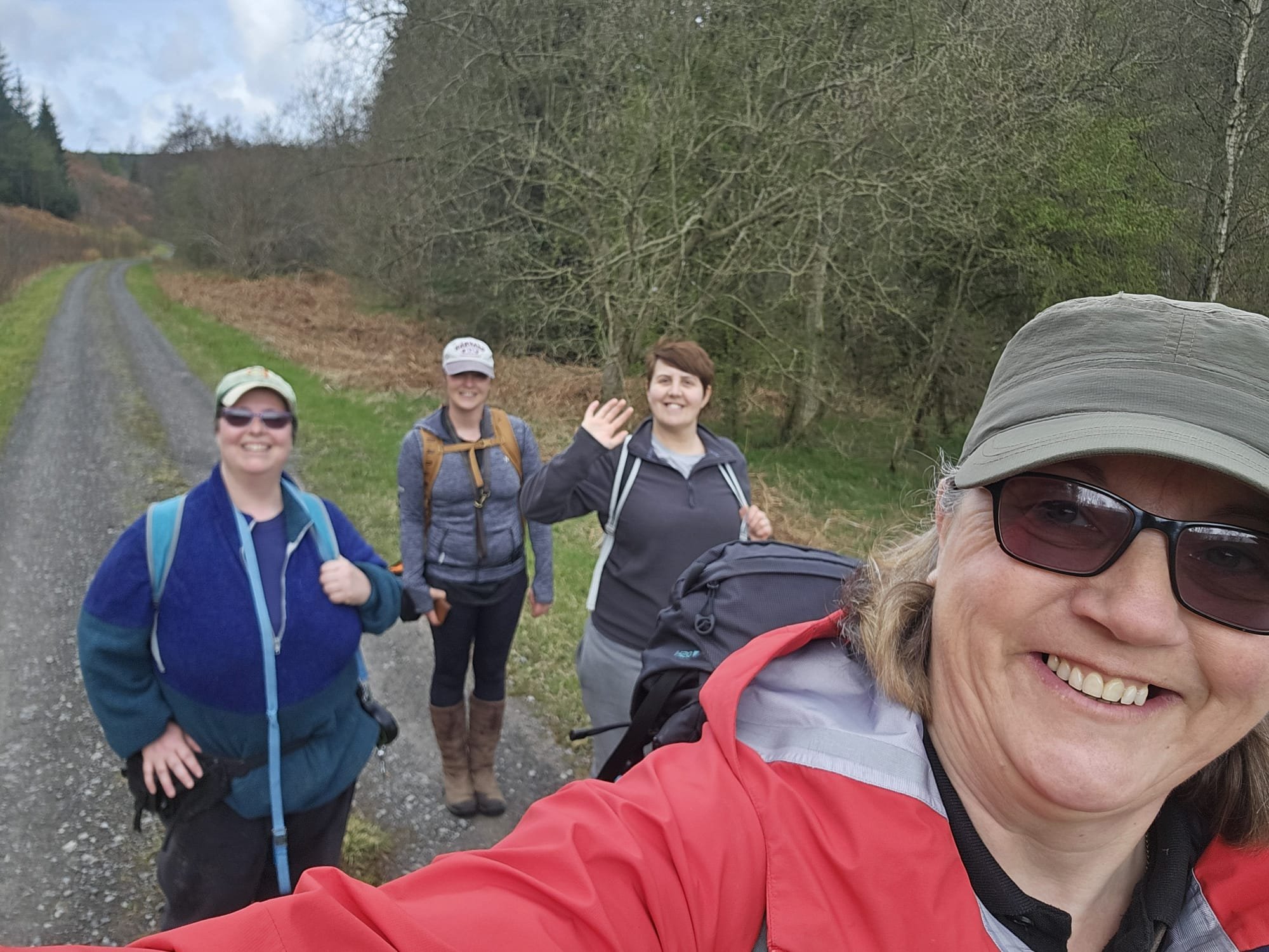 Train on the Trail: A Canine Adventure in the Forest