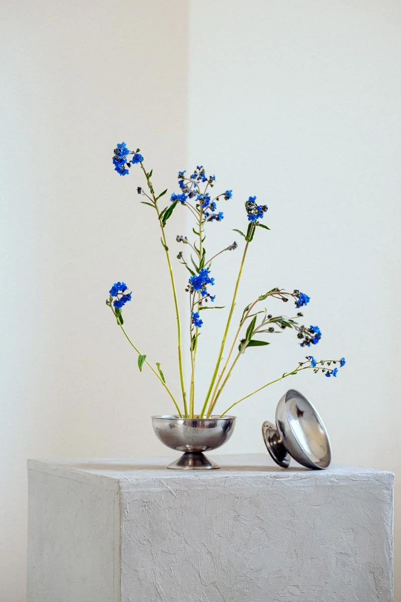 Camomille_fleurs_aout2025-8.jpg