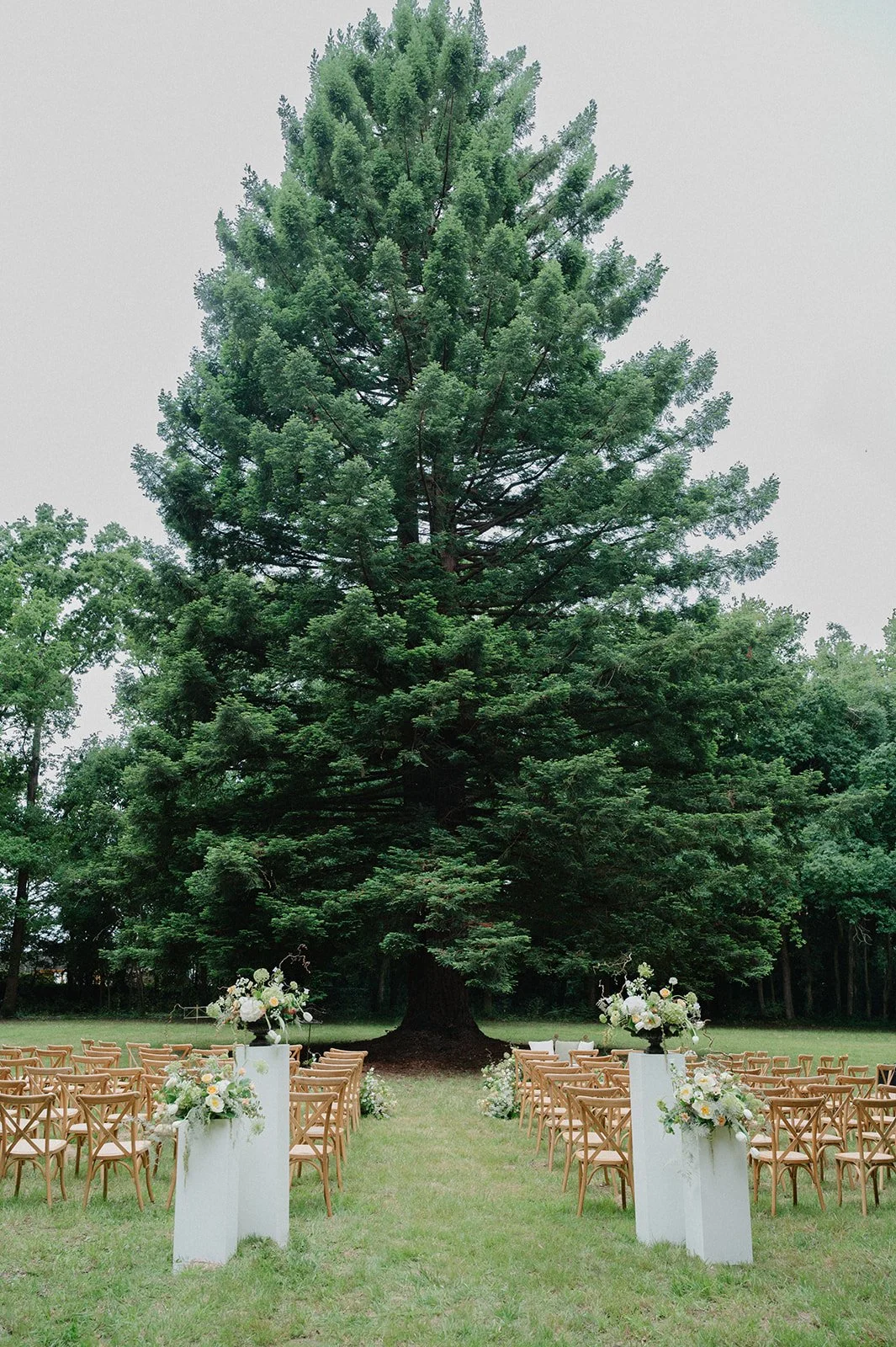 Compositions florales de mariage
