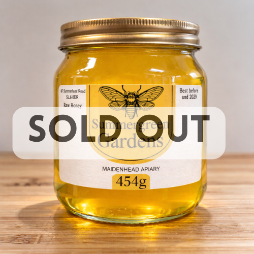 Light Blossom Honey 1lb / 454g