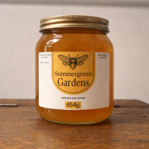 Medium Honey 500x500px 24thFeb2026.png