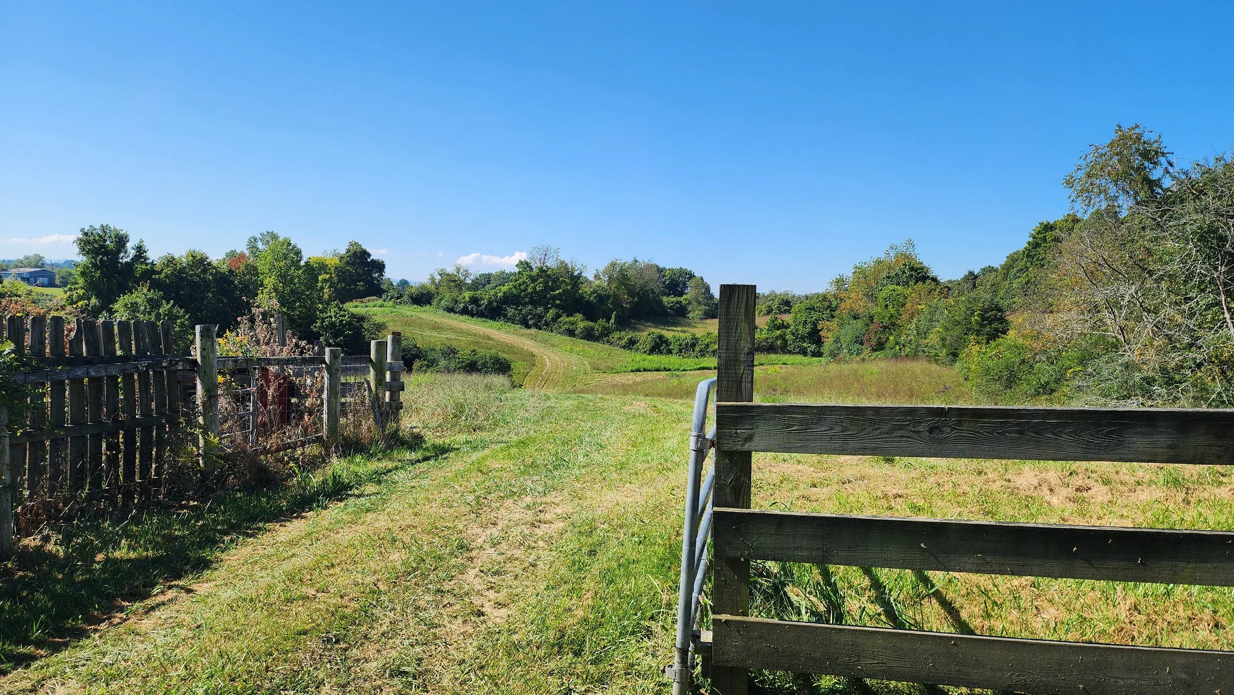 We finally found the perfect spot...rolling hills, ideal soils, and close to home! 