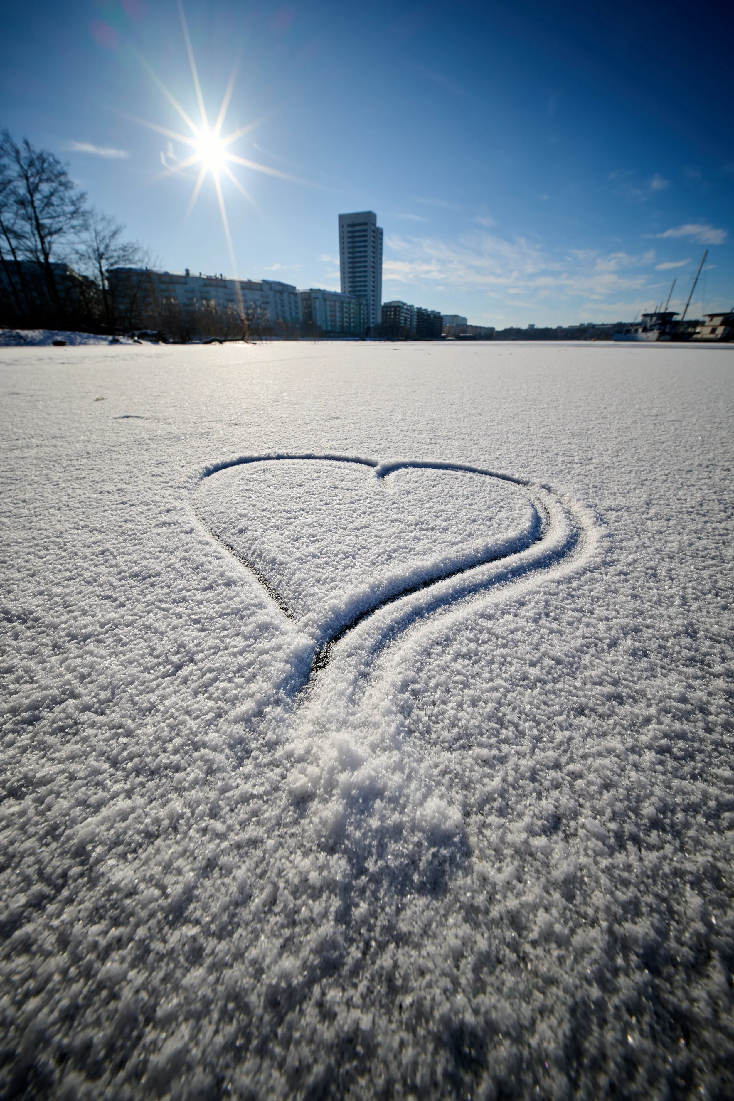2026-02-14, Nikon Z8 + LAOWA FFII 10mm F2.8 C&D Dreamer: 10mm, 1/250s, f/11, ISO 64.