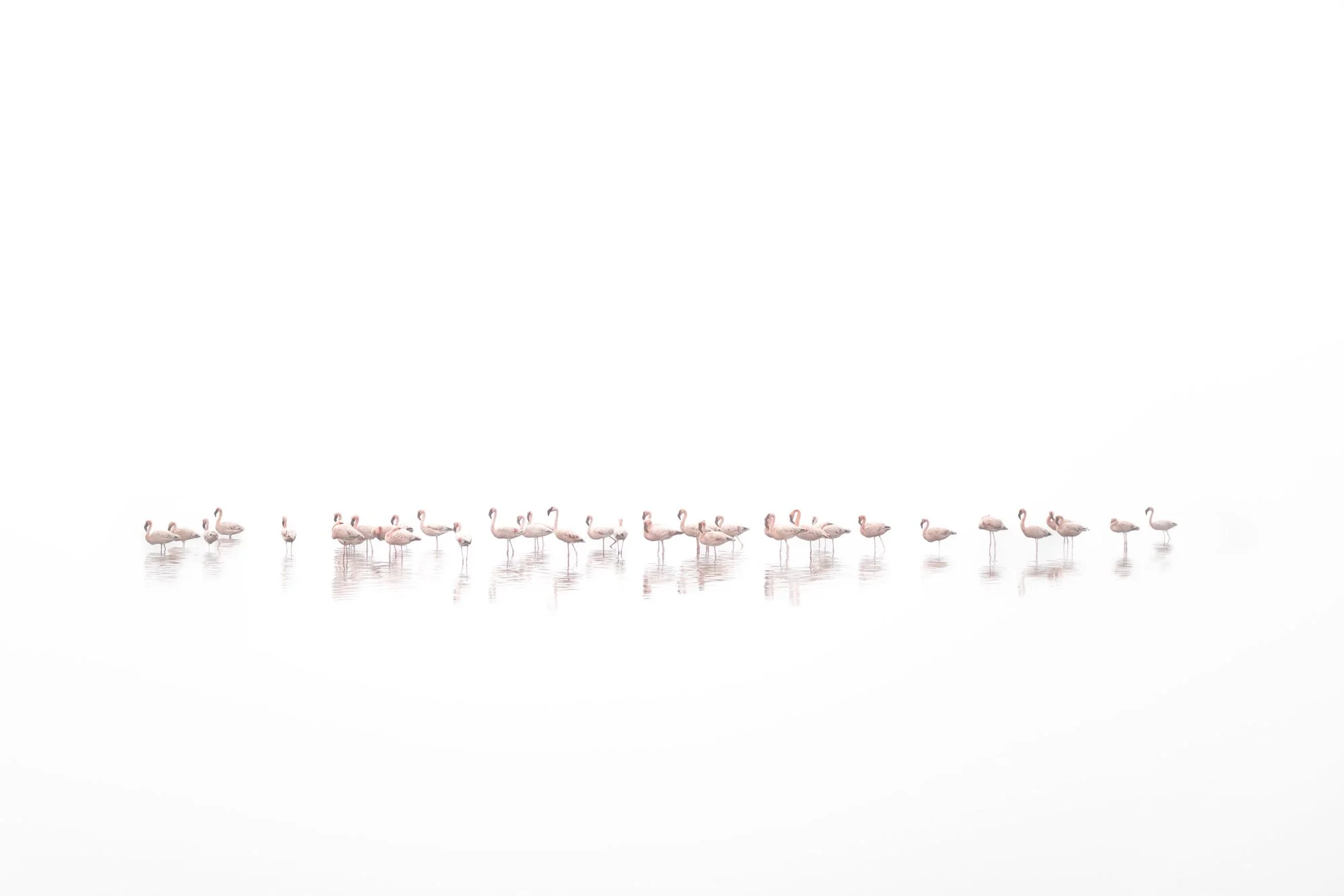 Tranquility 24" framed