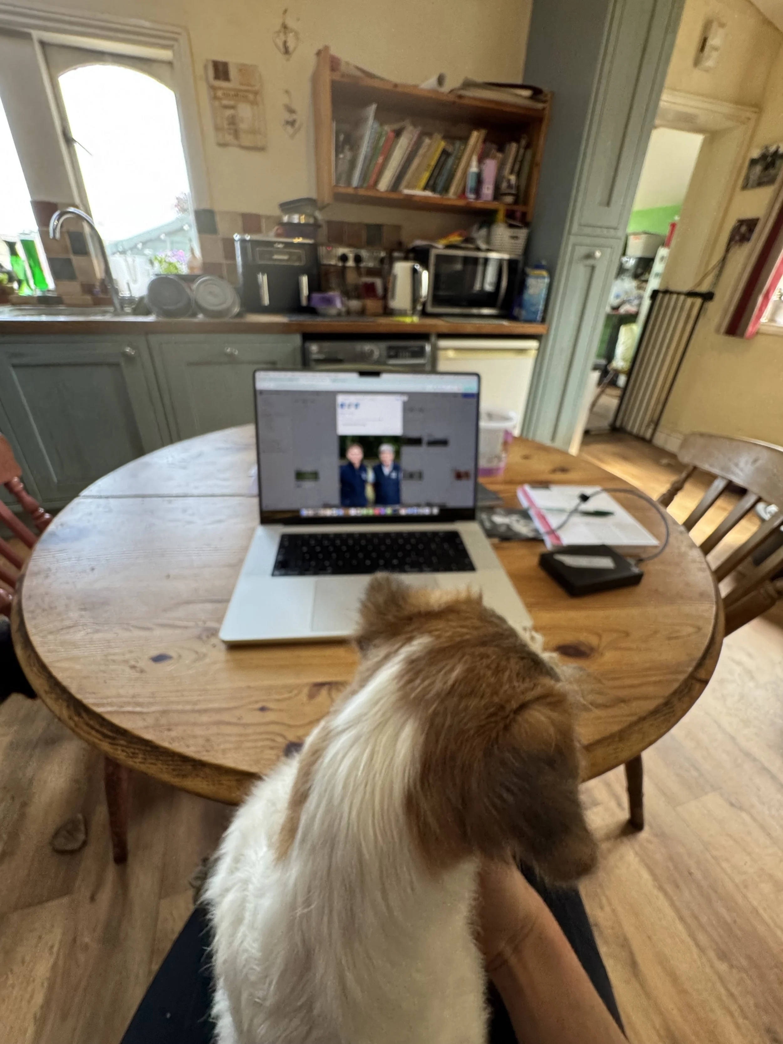 Thoughts from a Creative: Business owners should be supporting each other…
