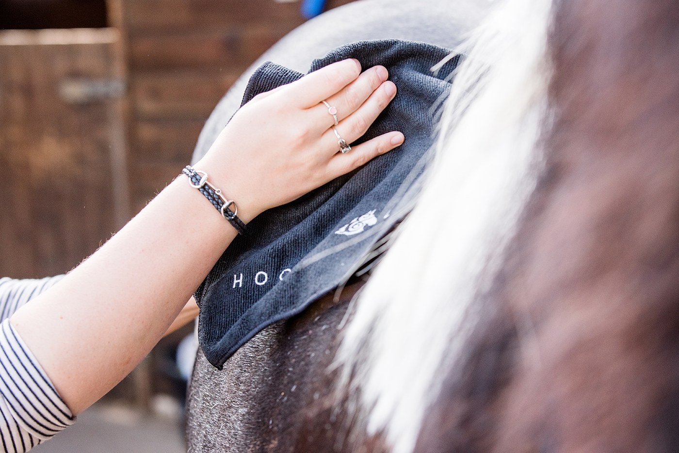 Brand photography of  a person's hand resting on a horse's side, cleaning or grooming the horse with a cloth. The person is wearing rings and a bracelet, and the horse has brown and white fur.