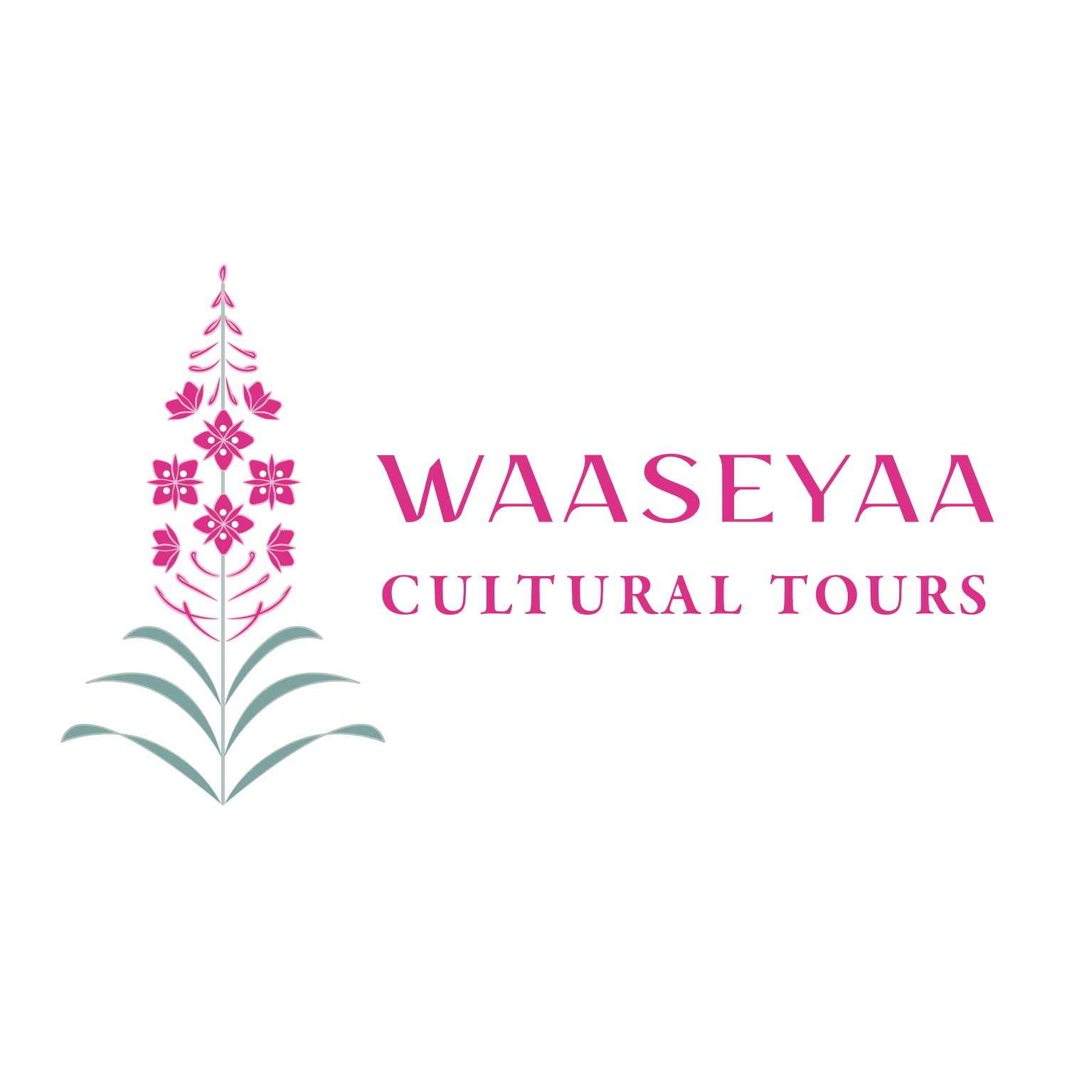 Waaseyaa Cultural Tours