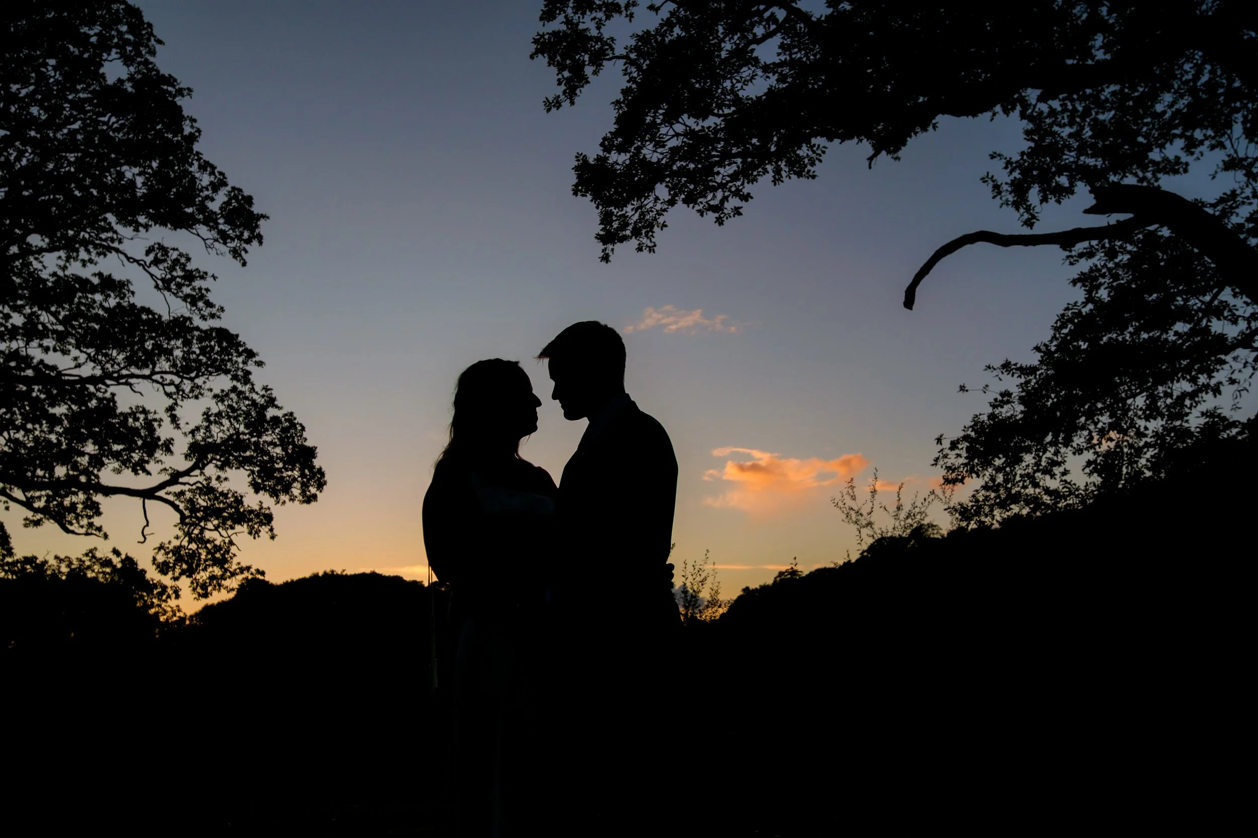 Silhouetted couple standing close together outdoors at sunset, surrounded by trees.