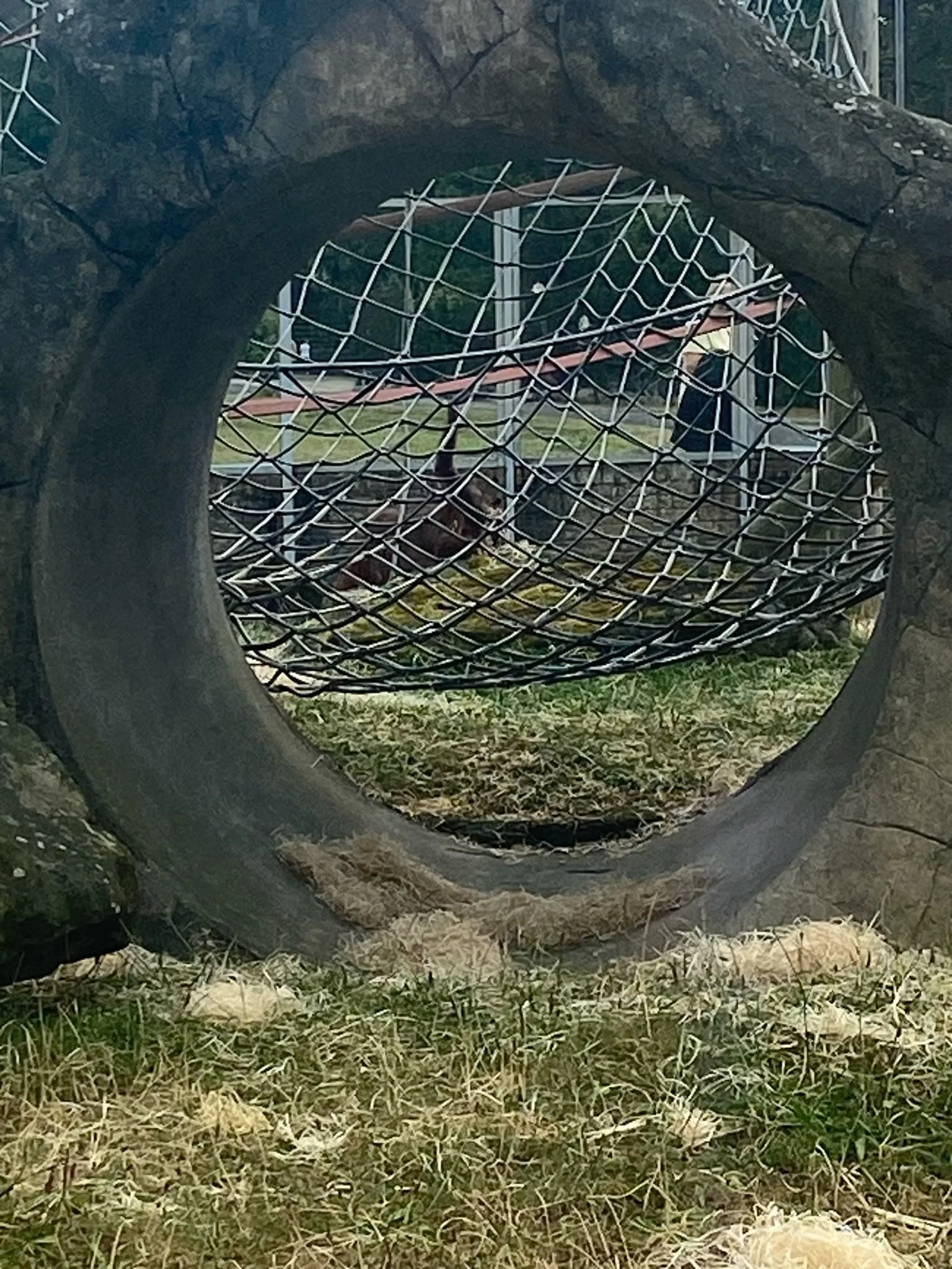 IMG-20260804-WA0097.jpg