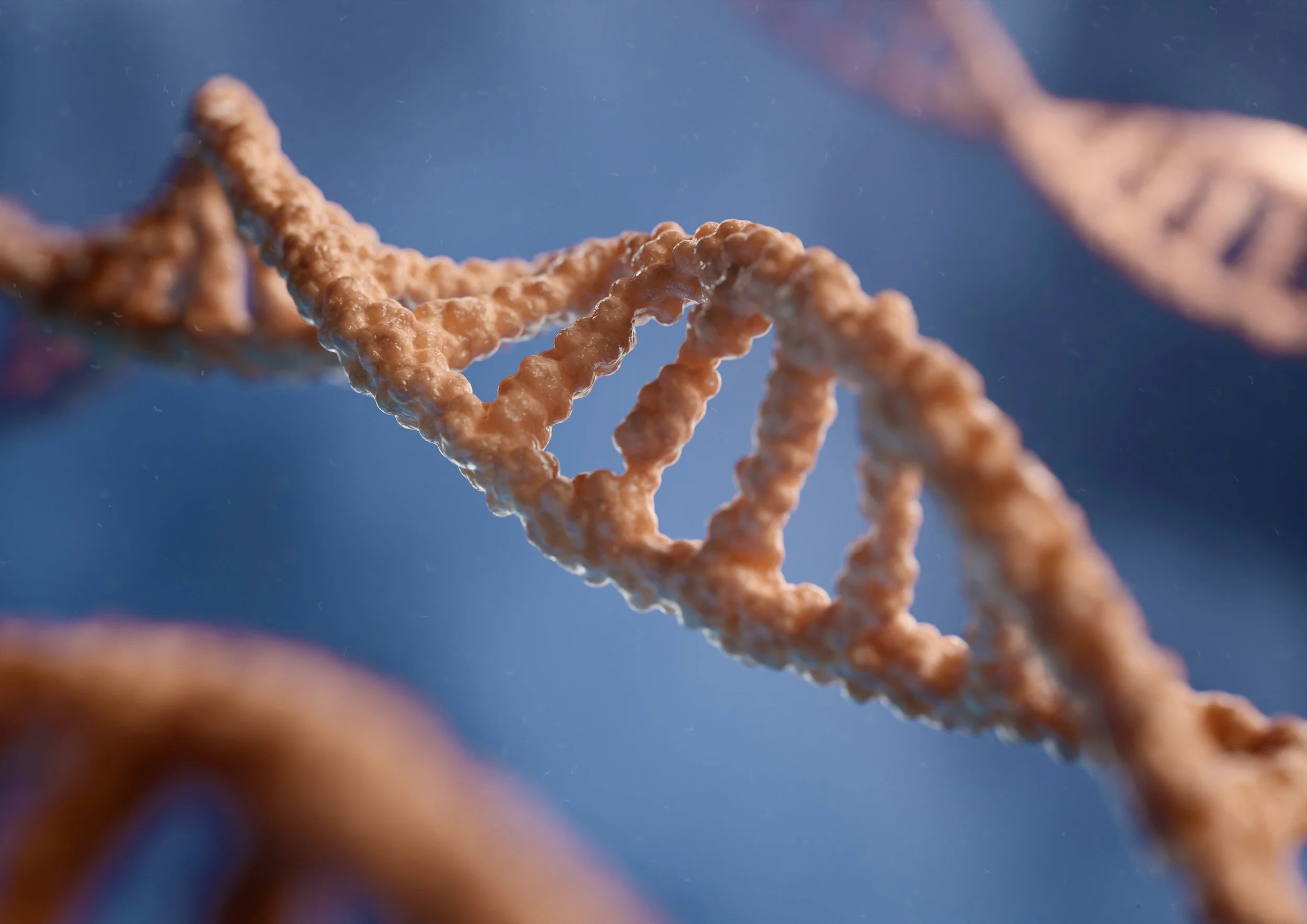 Close-up of a DNA double helix structure on a blue background.