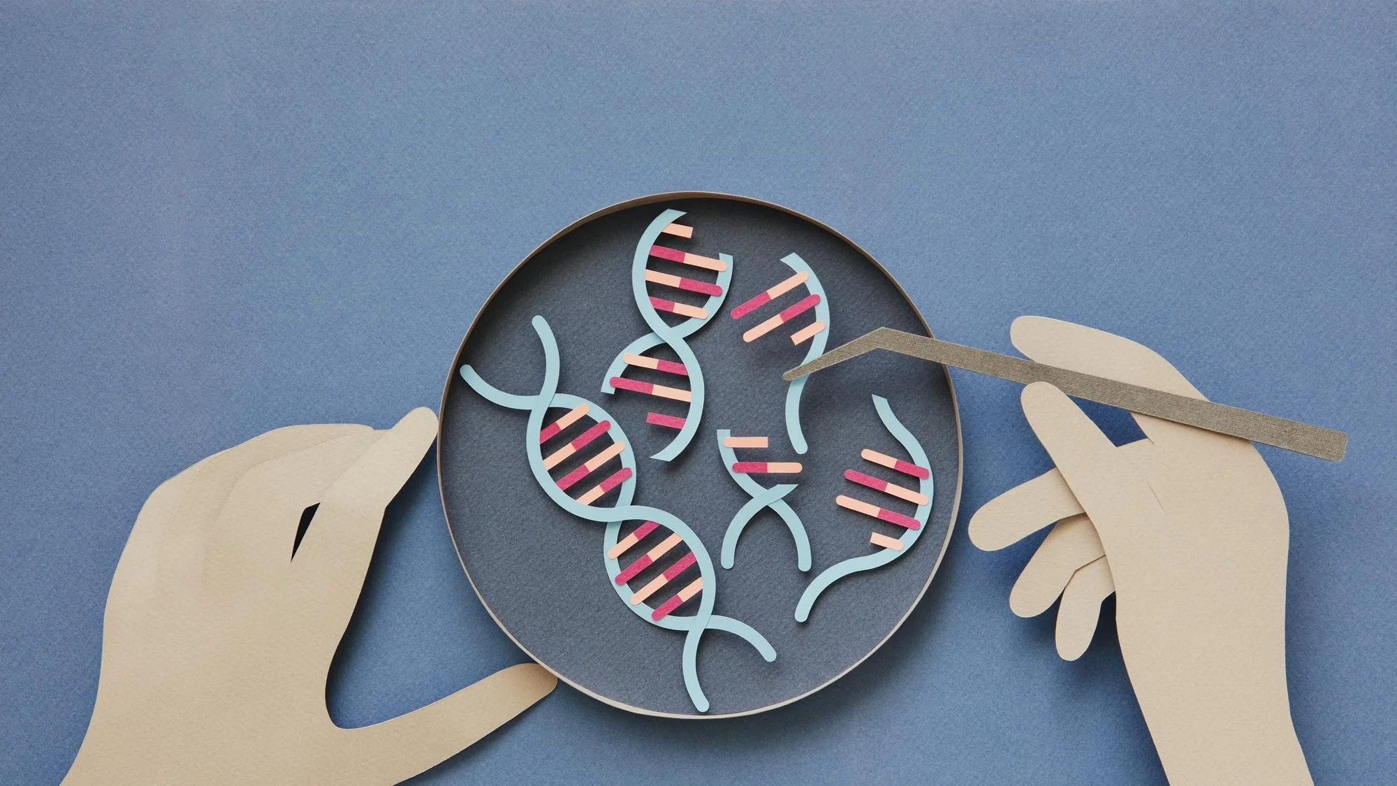 Illustration of hands holding tweezers manipulating DNA strands on a petri dish.