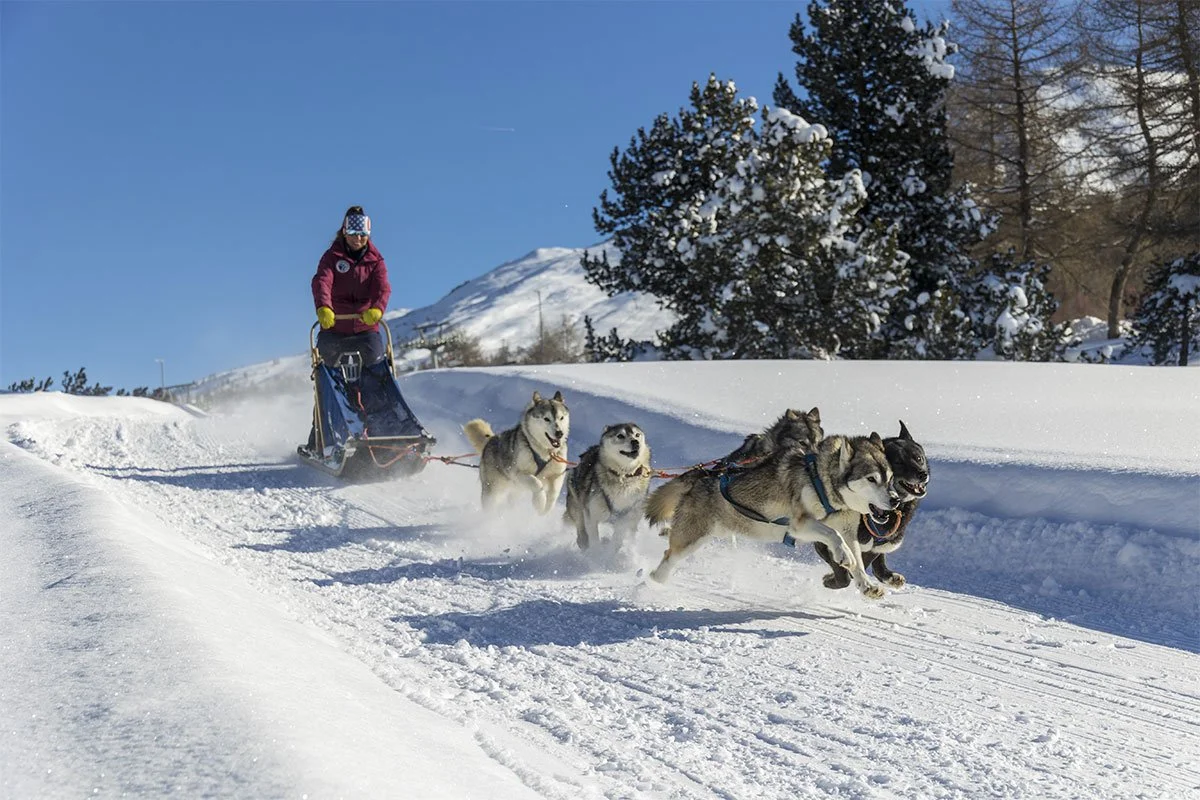 the_husky_experience_escursioni_cani_da_slitta_sleddog_a_sestriere_piemonte_gallery_13.jpg