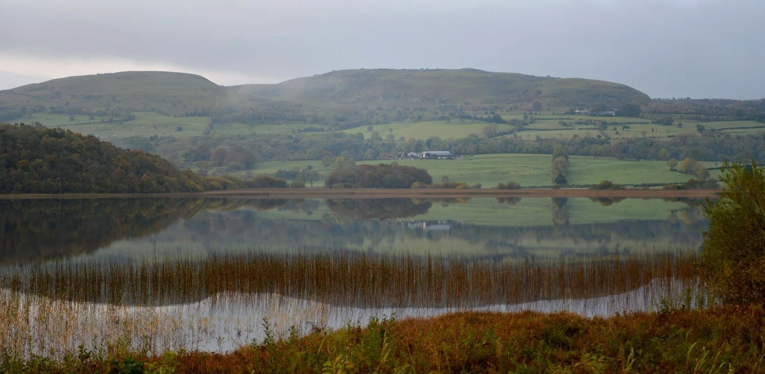 BORD BIA NORDICS APPOINTS SPINNAKER