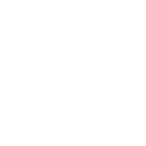 Bord-Bia.png