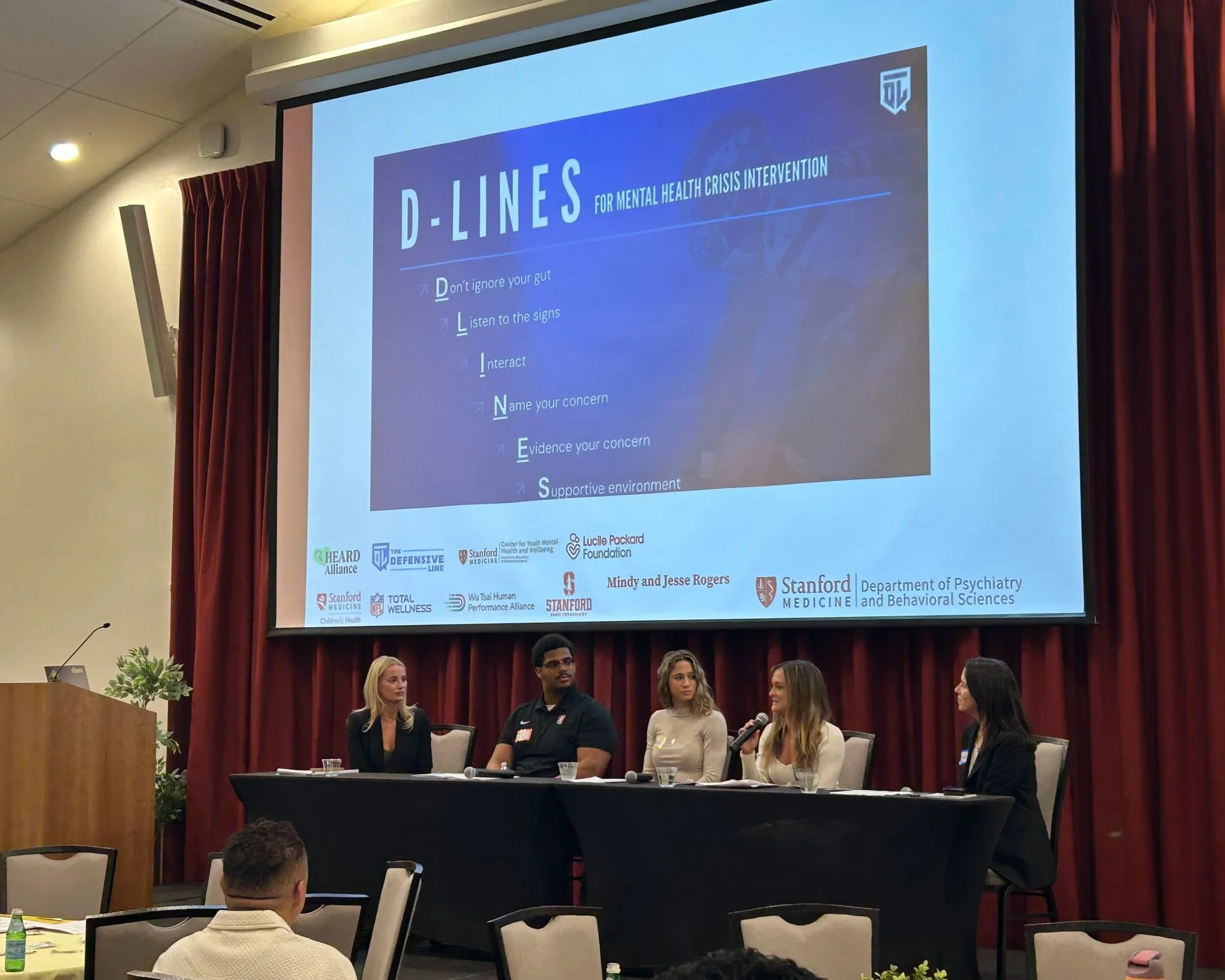 Visibility, Social Media, Youth MH panel featuring Madison