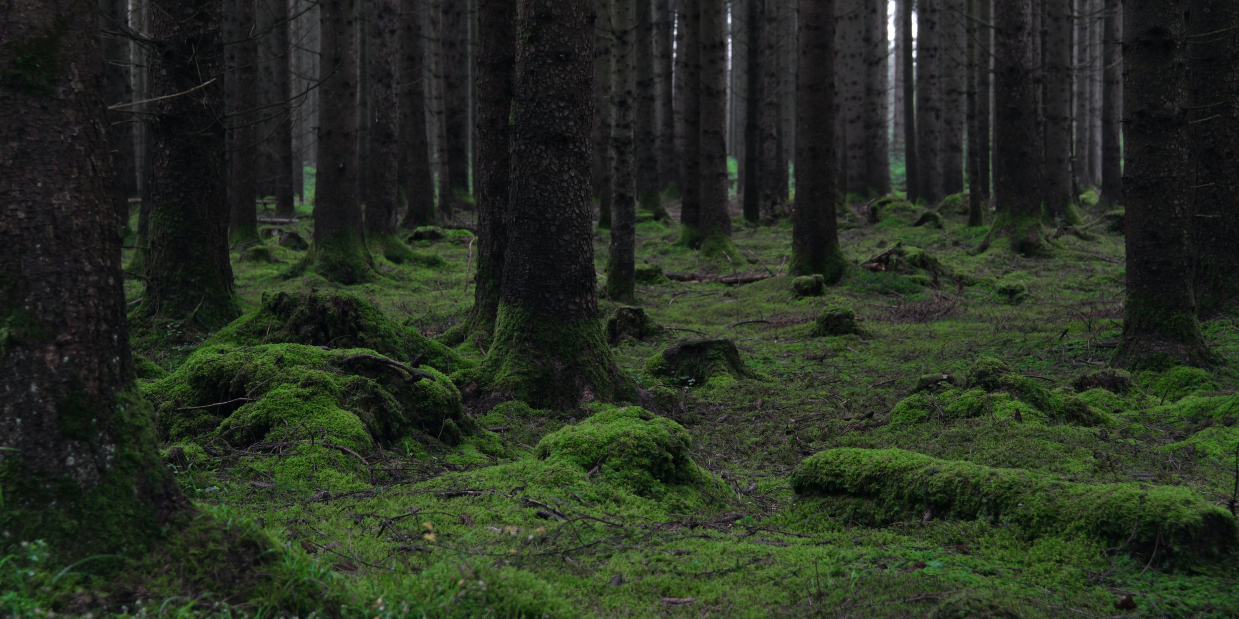 jens-aber-GiwyDlGRQ7k-unsplash.jpg