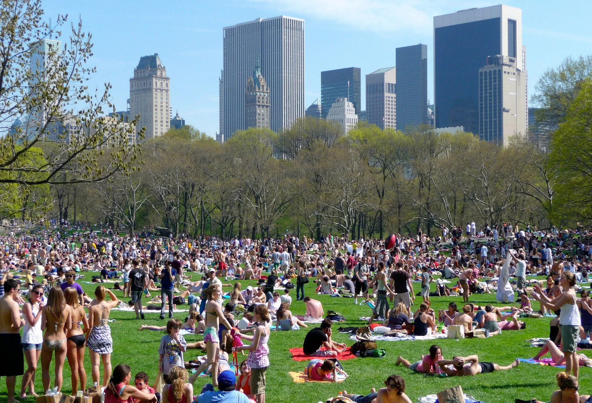 Newsletter: Partnerships are the Away Around the 1% Tax Floor 🤝 ; Companies are Looking for Visibility—Parks &amp; Recs Deliver 🌳 ; Your Next Audience Might Not Even Be Human 🦾