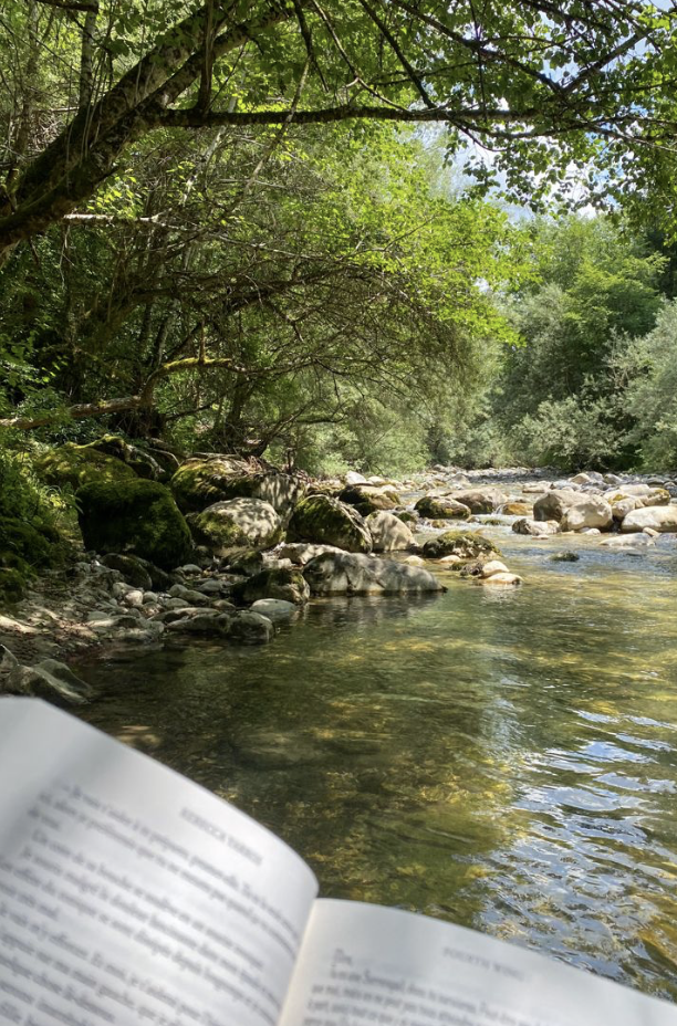 Screenshot 2026-03-30 at 4.46.35 PM.png