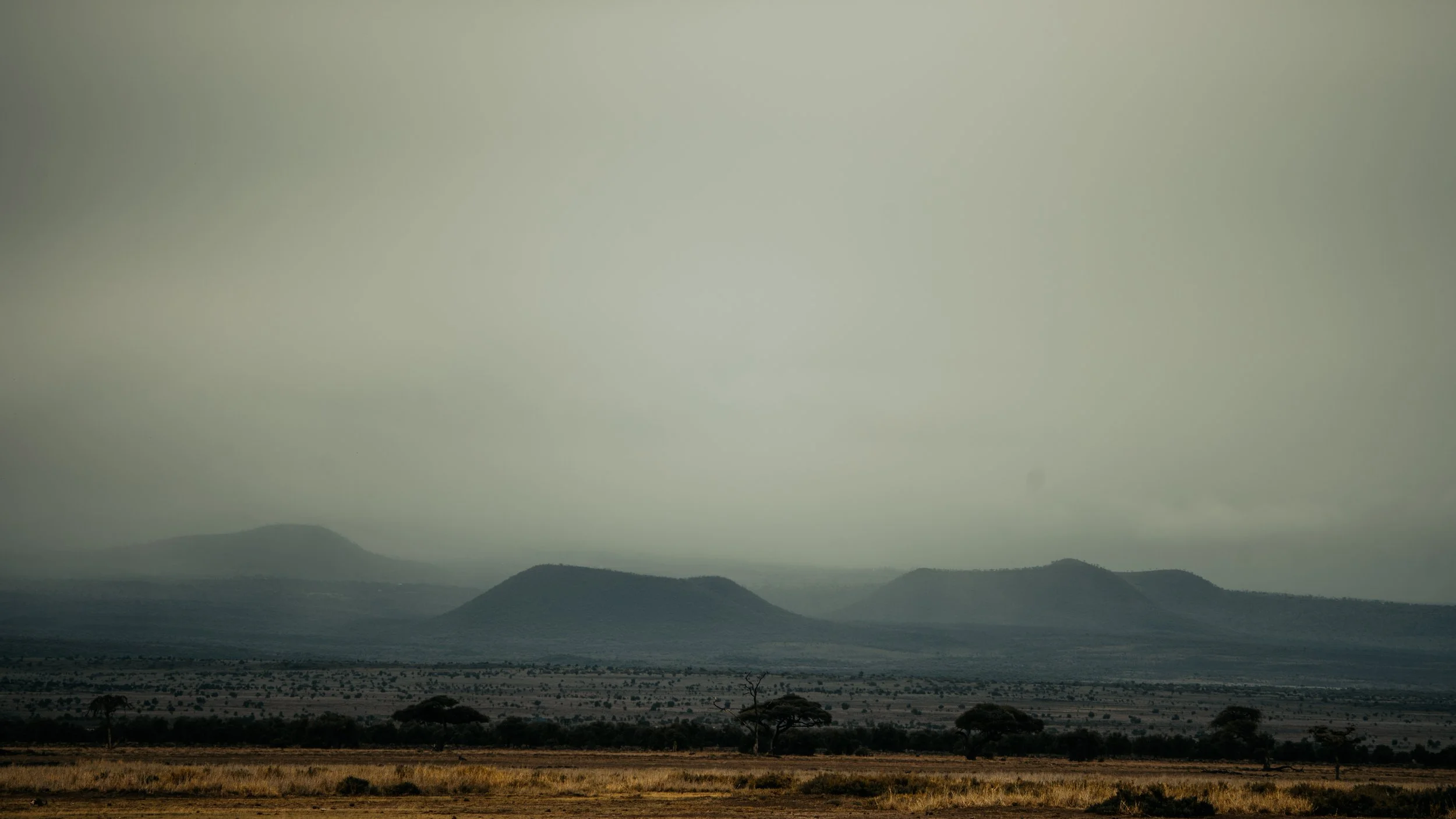 x Amboseli to Nairobi-142.jpg