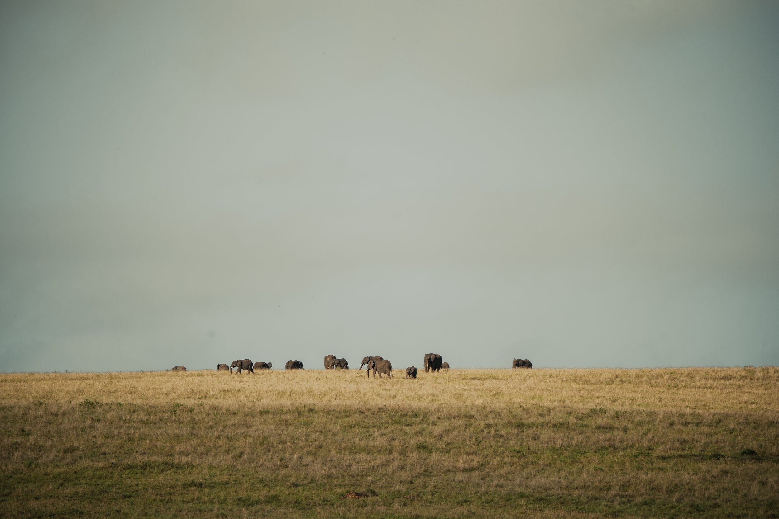 x Masai Mara - Balloon-135.jpg