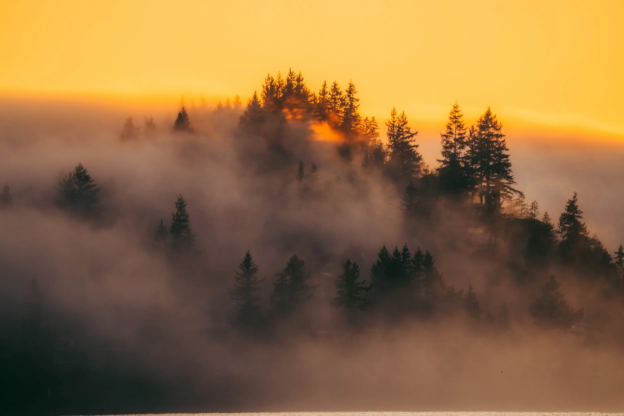 Ansell Point_-51.jpg