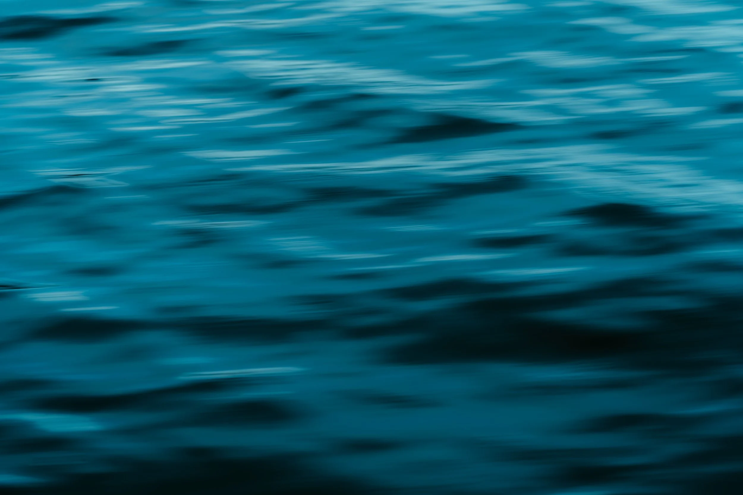 BC FERRIES_SUNSHINECOAST-114.jpg