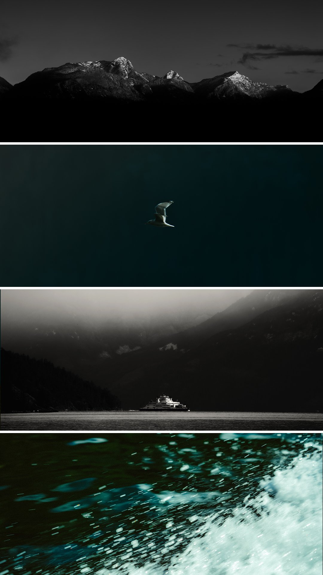 BC FERRIES STORY_47.jpg