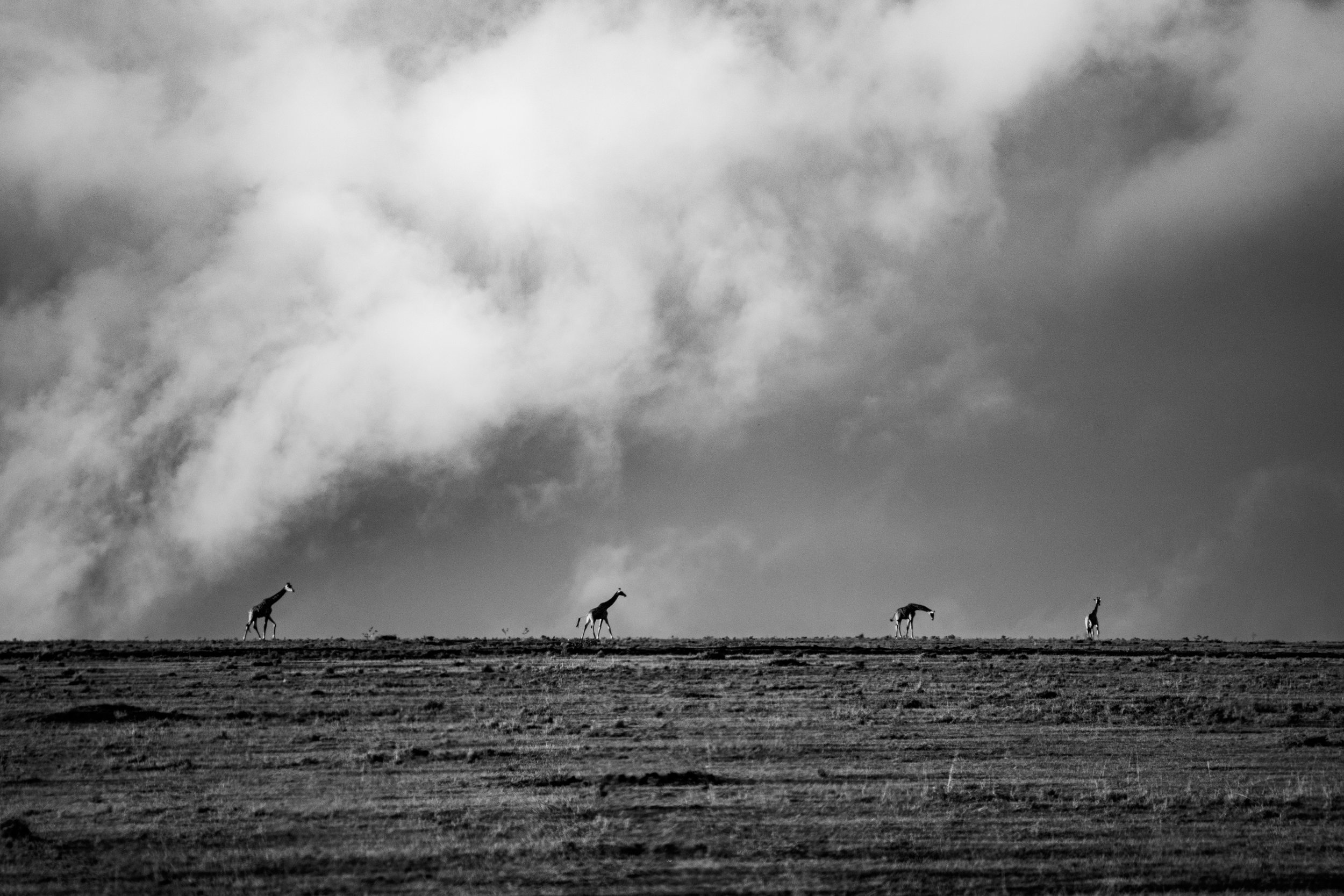 x Masai Mara - Balloon-111.jpeg