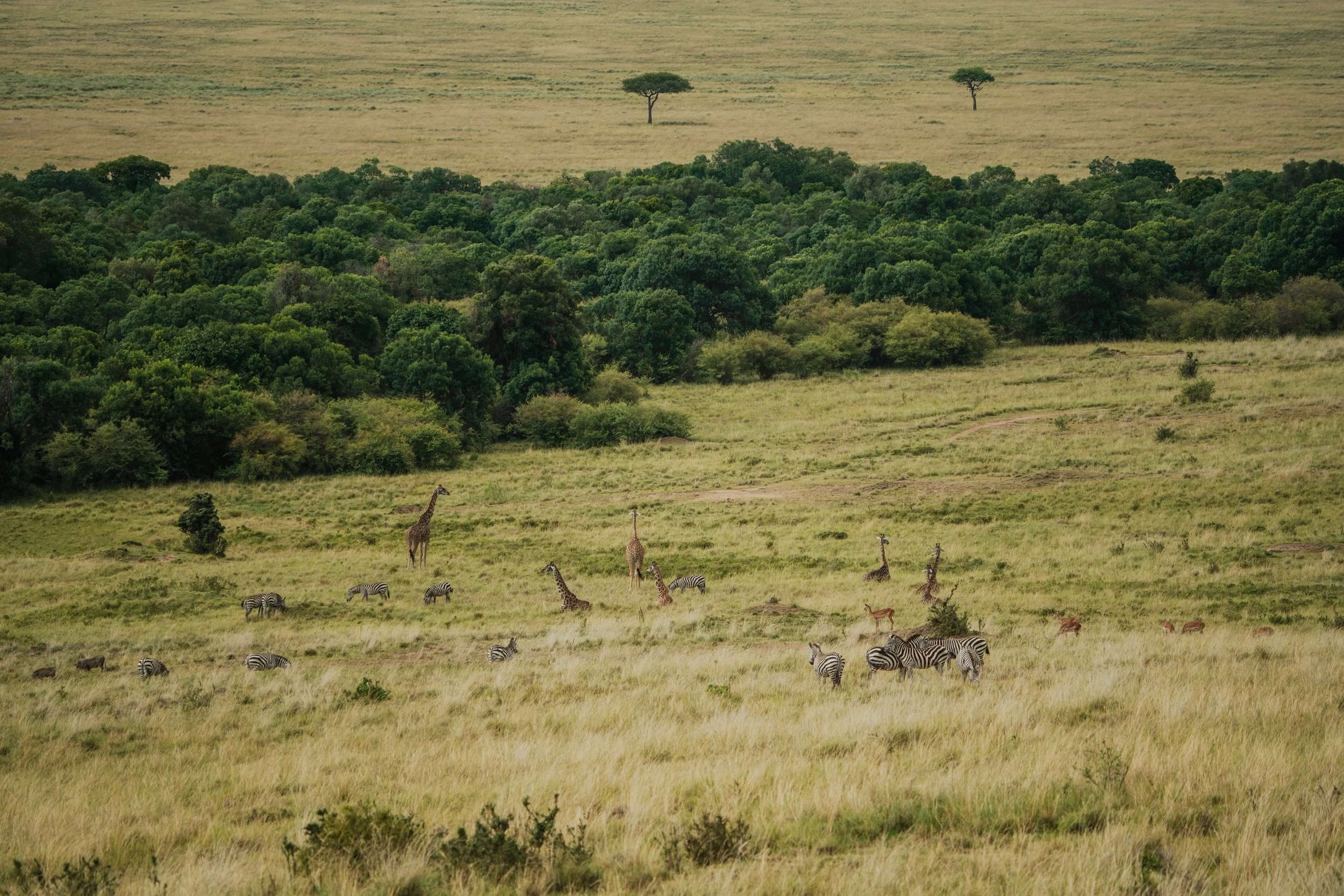 G The Drive - Kenya to TZ-123.jpeg