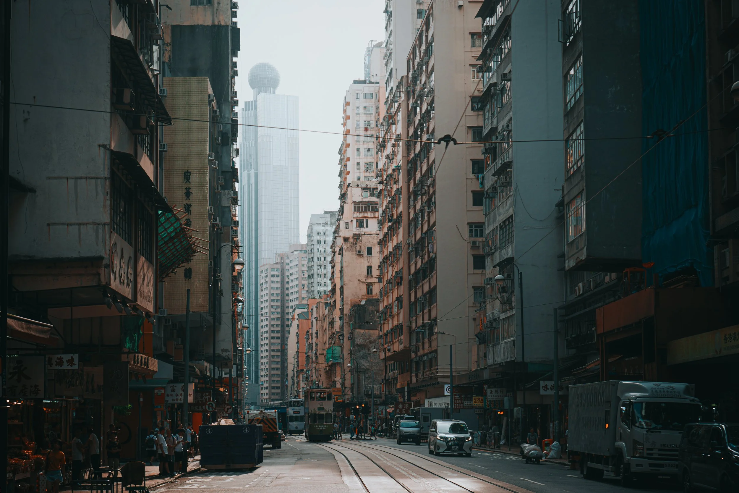 morphic-13.jpg