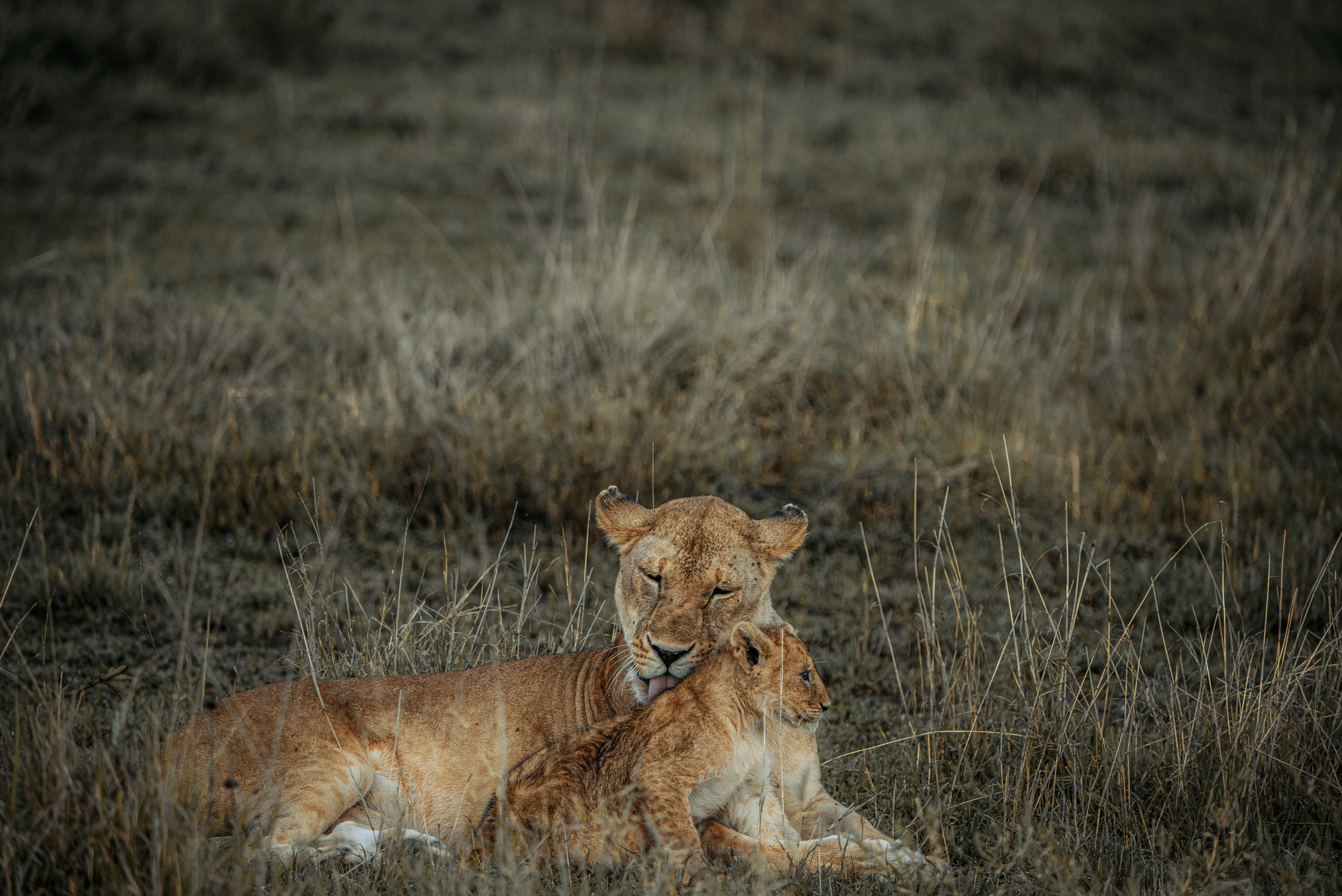 Screen Shot 2024-02-22 at 5.20.13 PM.png