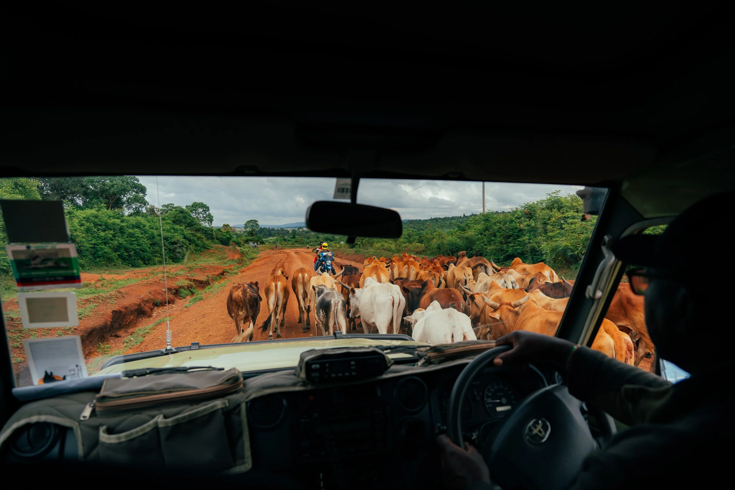 Y The Drive - Kenya to TZ-207.jpg