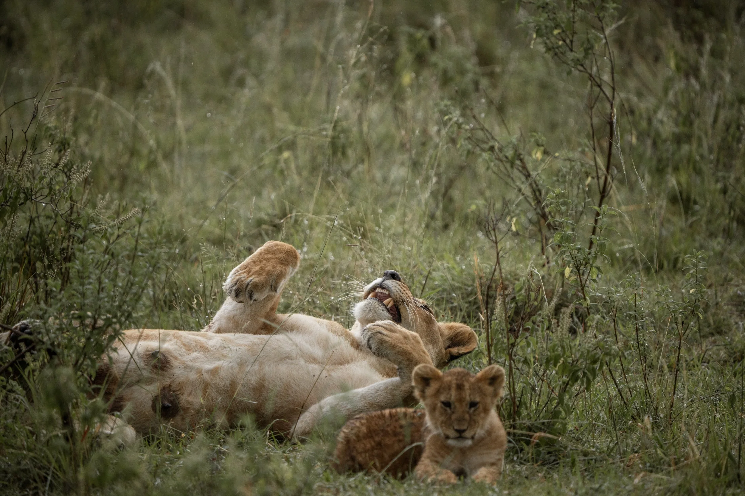 x Lake Nakuru-394.jpeg