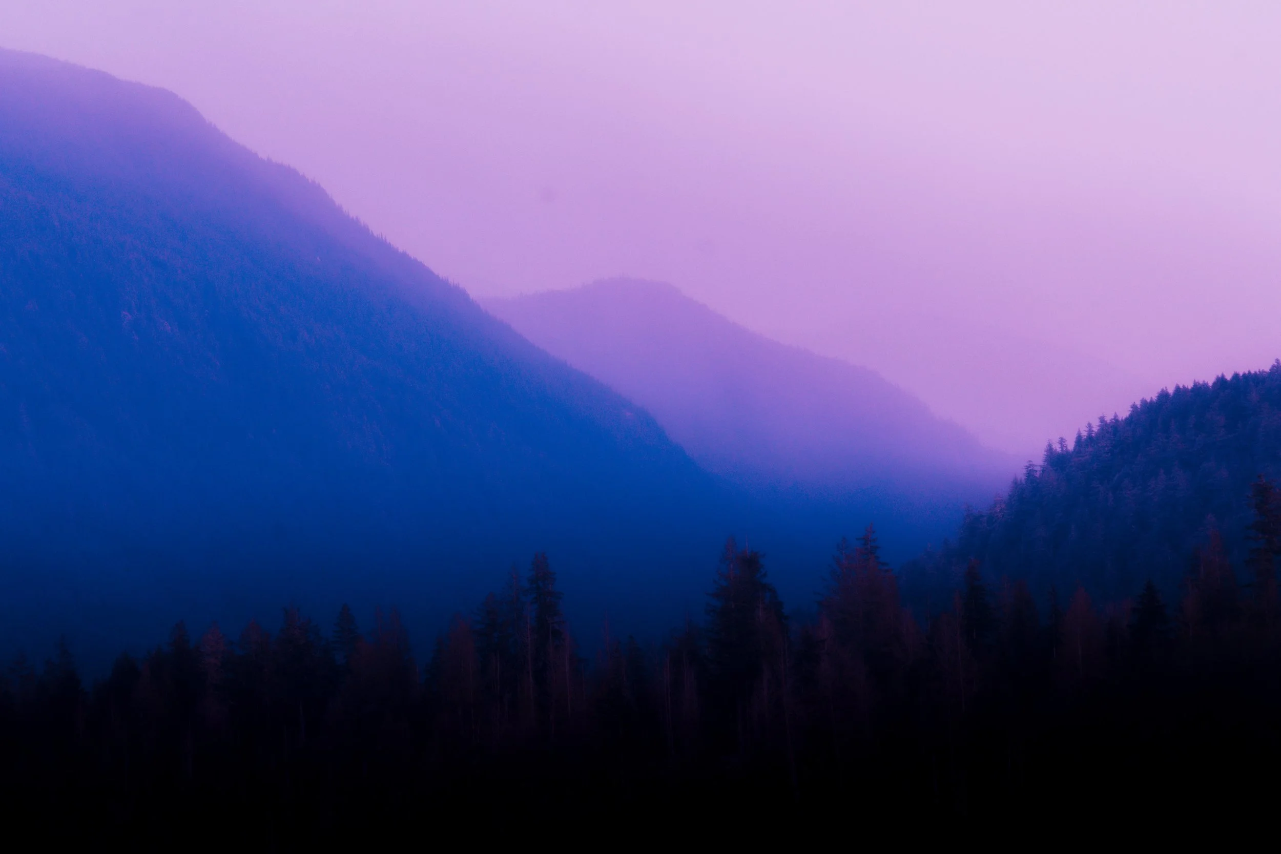 BC FERRIES_SUNSHINECOAST_NEW-40.jpg