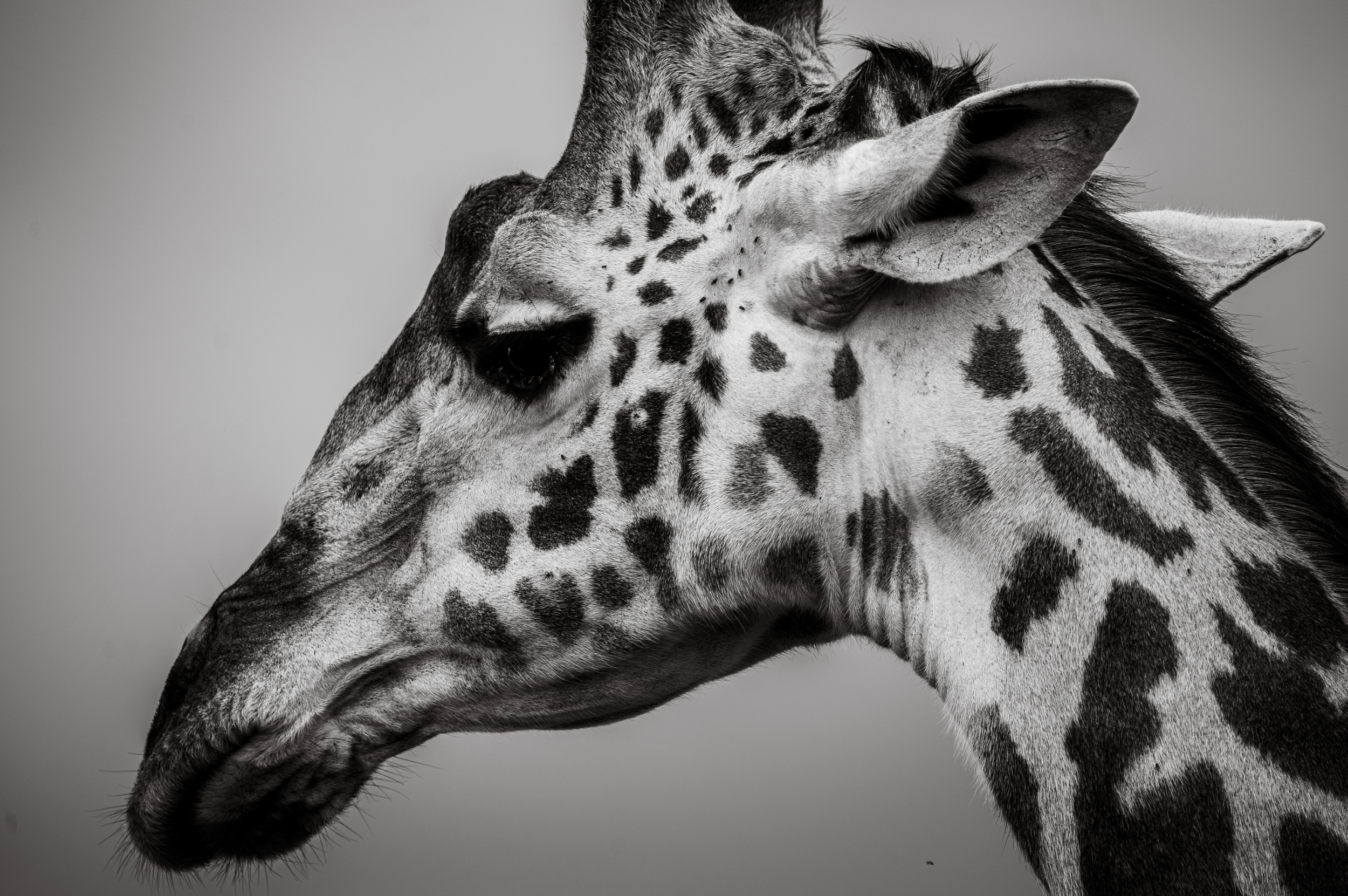 Screen Shot 2024-02-22 at 5.14.21 PM.png