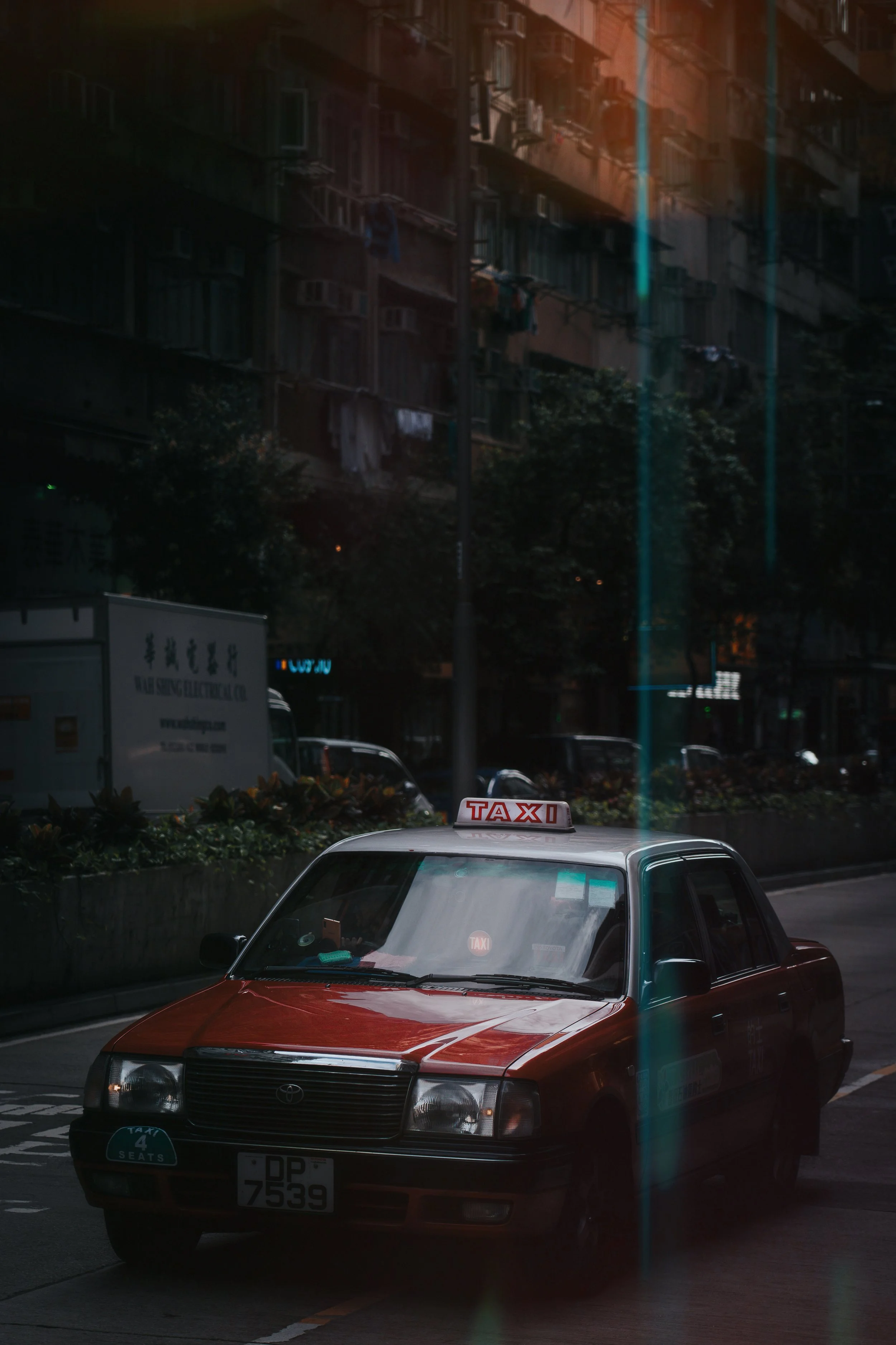 morphic-2 copyhk.jpg