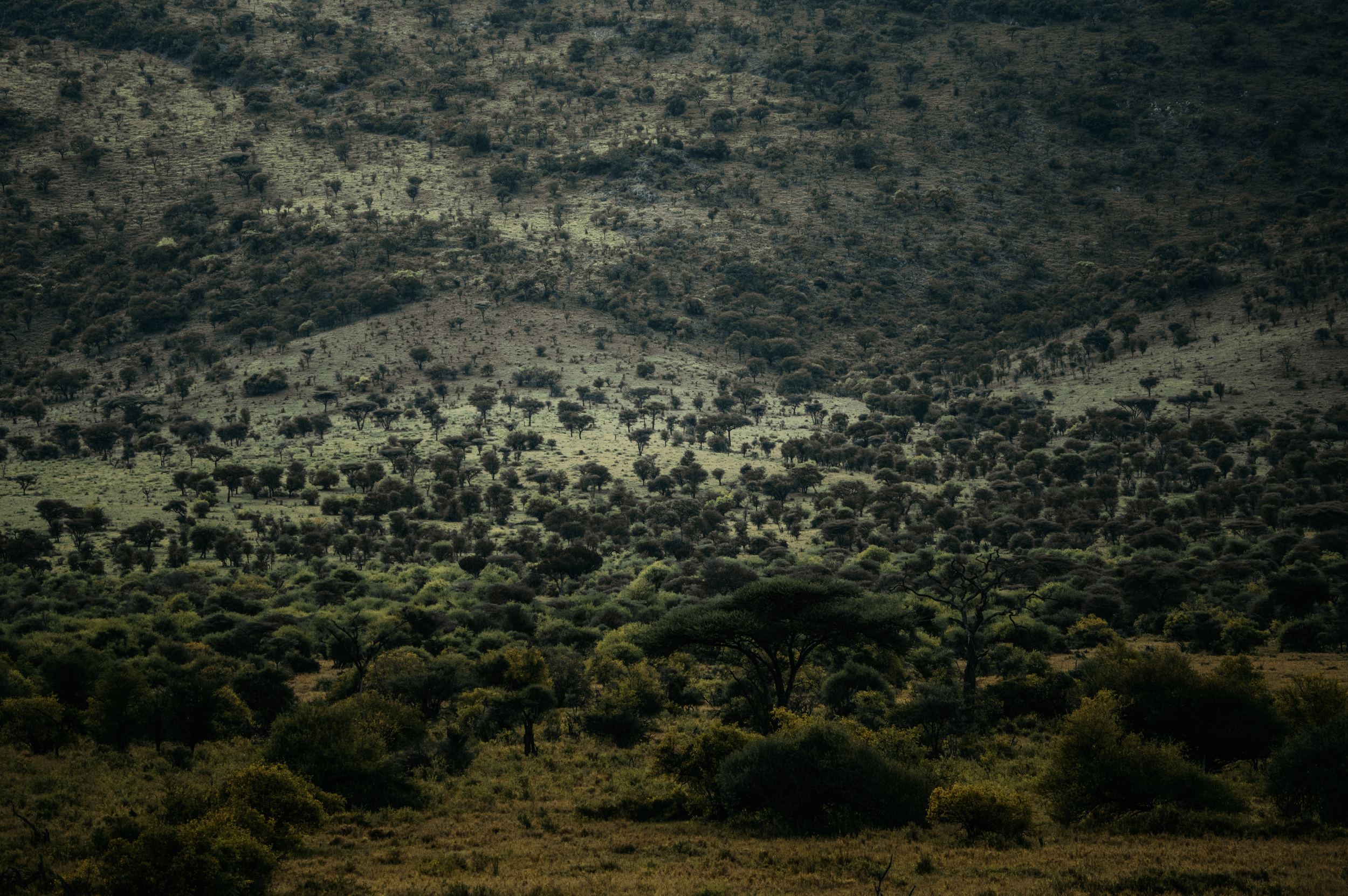 Screen Shot 2024-02-22 at 5.20.32 PM.png