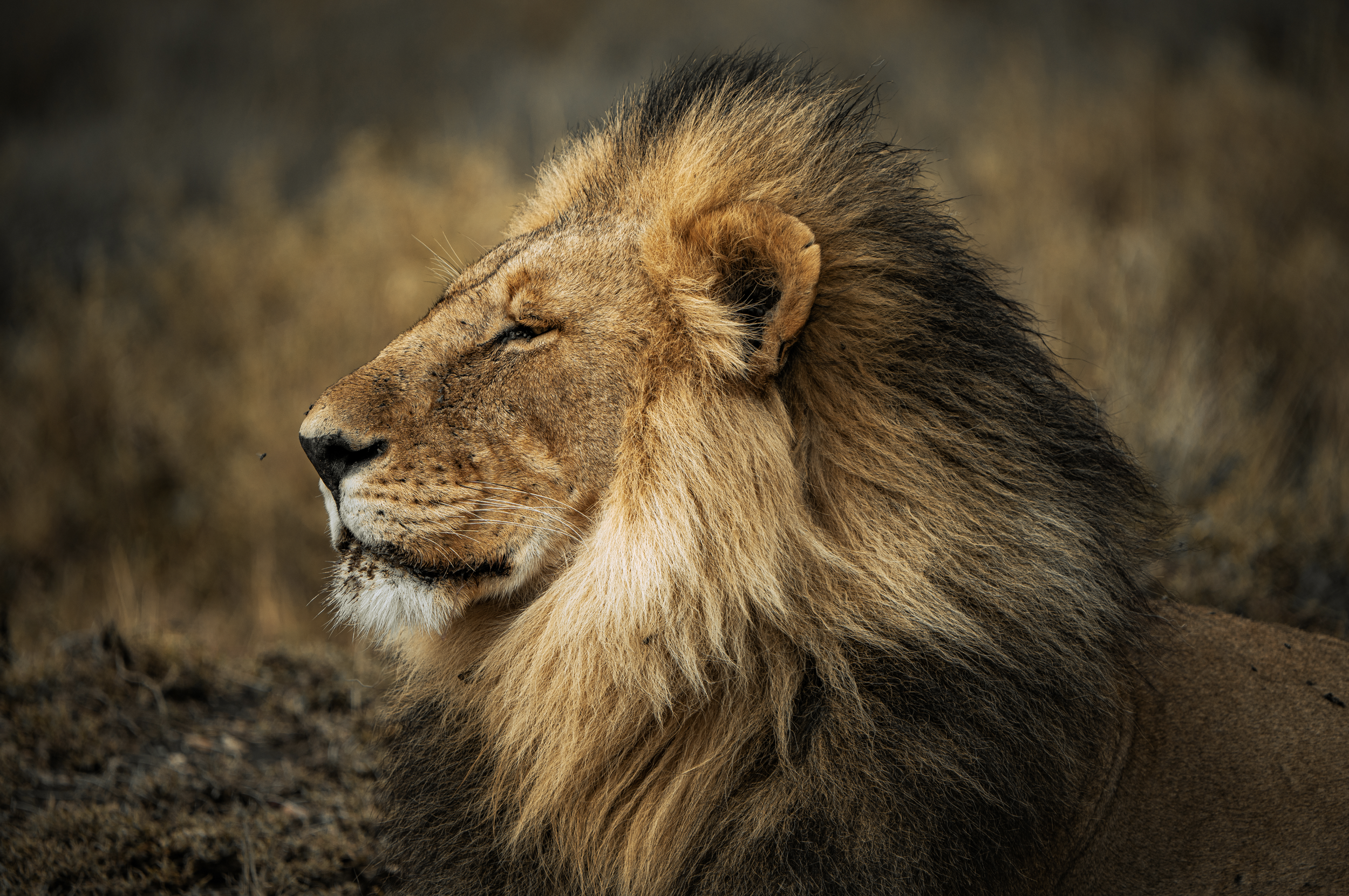 Screen Shot 2024-02-22 at 5.21.03 PM.png