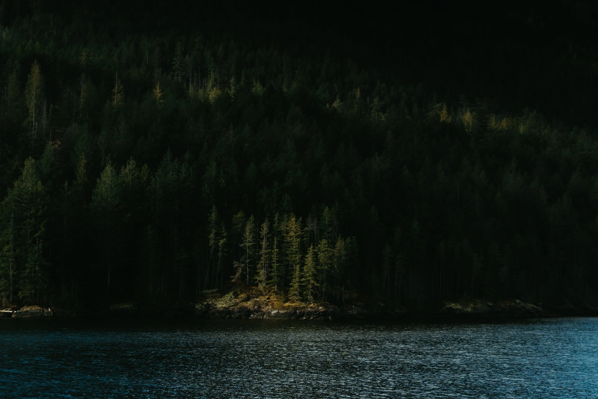 BC FERRIES_SUNSHINECOAST-59.jpg